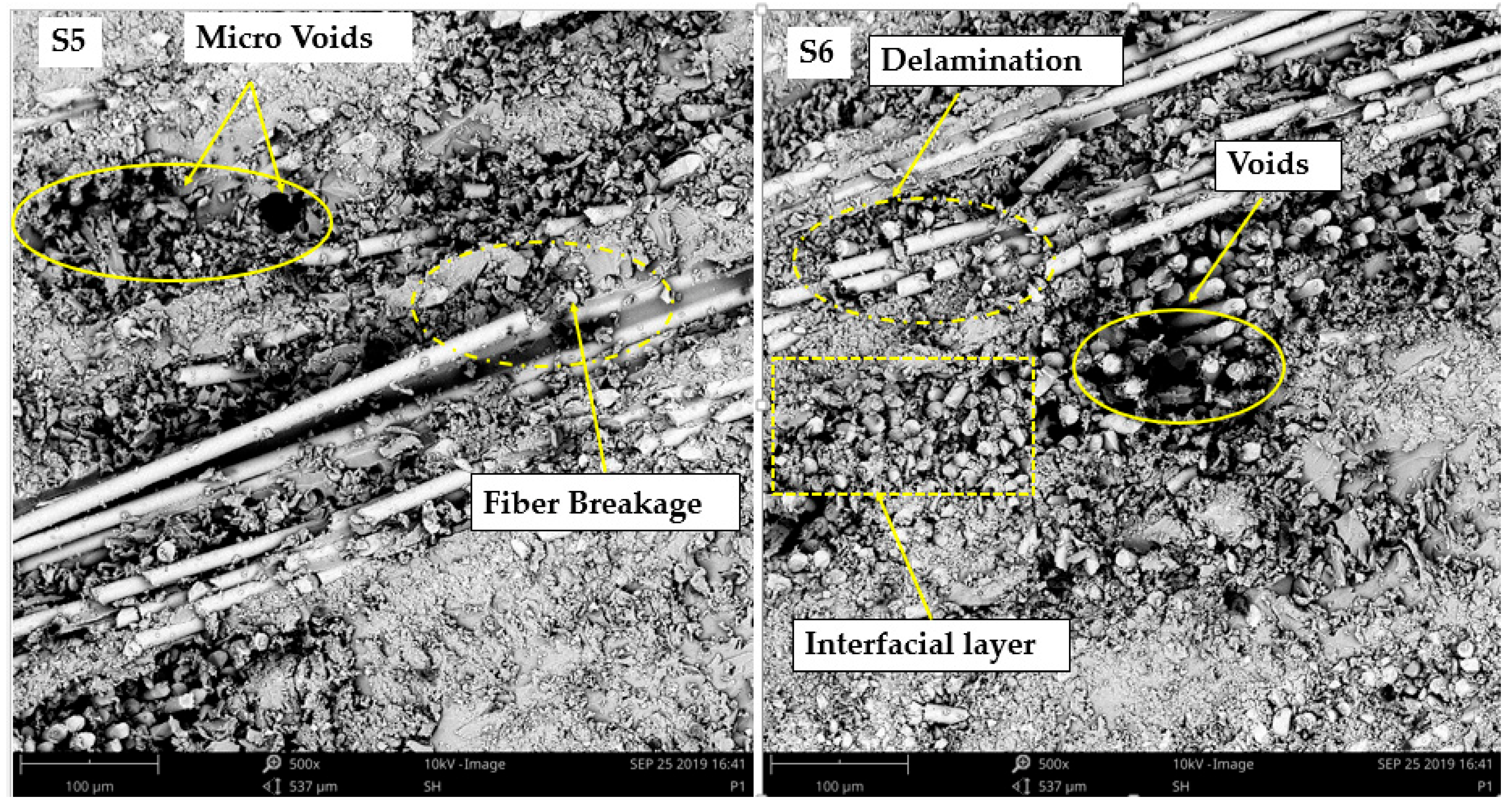 Crystals 13 00415 g007 Crystals 13 00415 g007