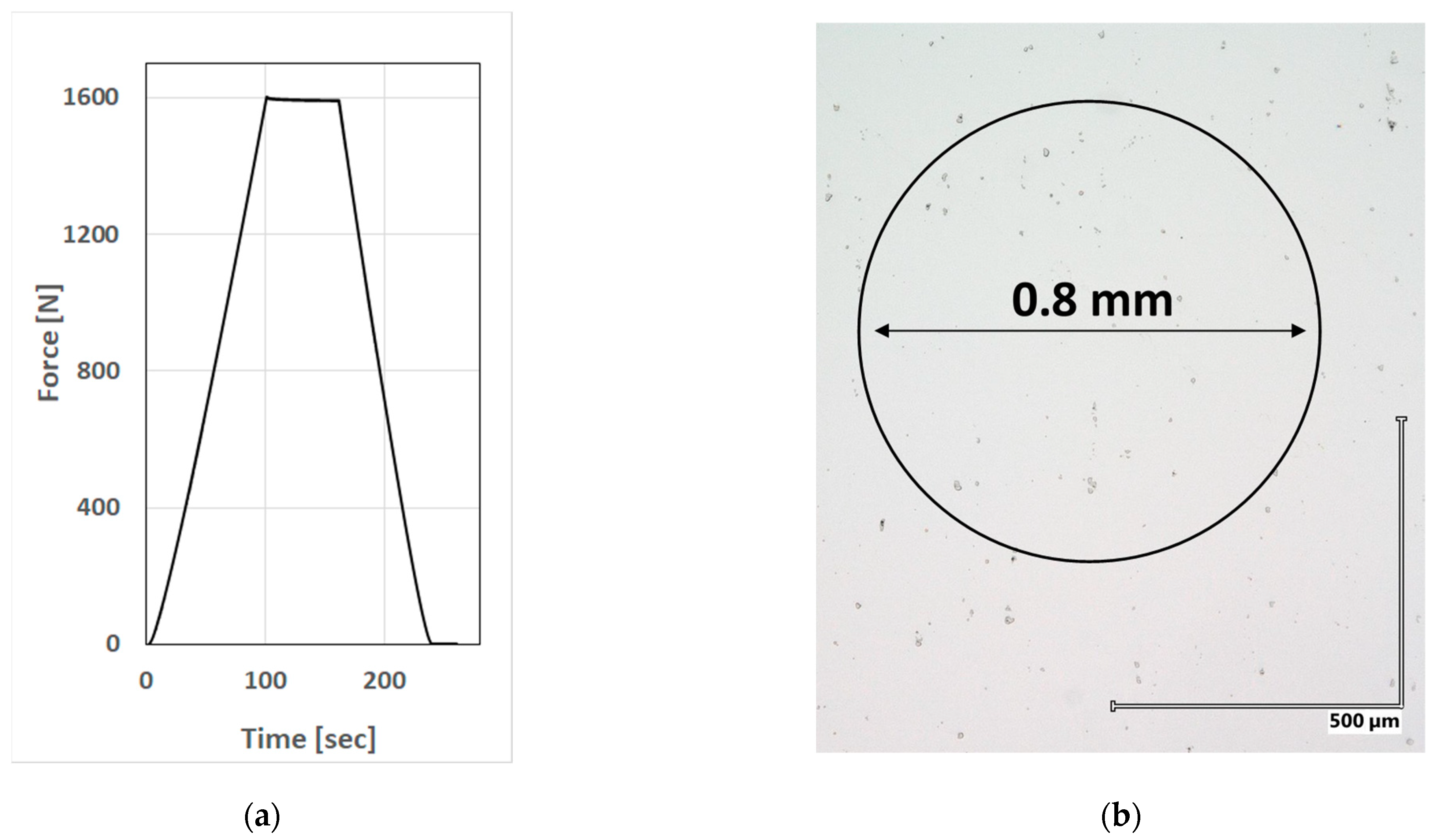 Crystals 13 00429 g004
