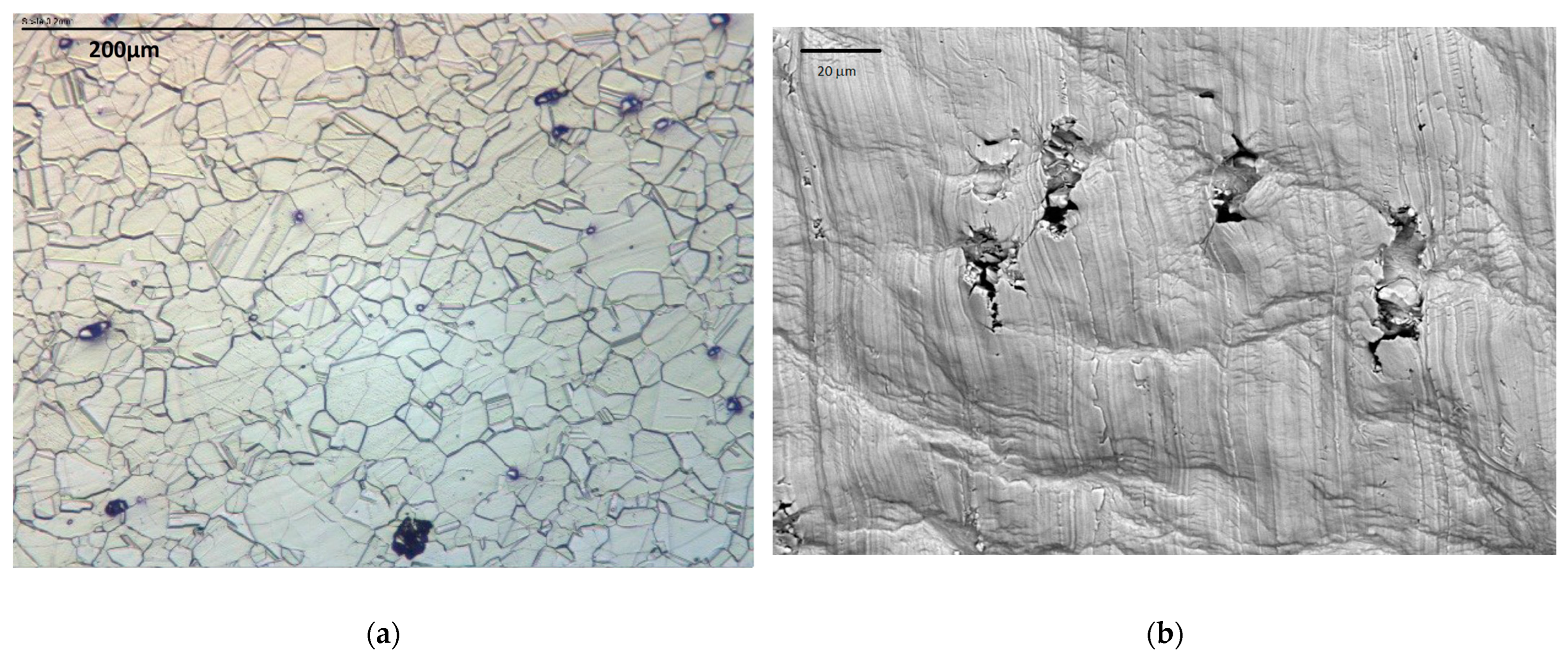 Crystals 13 00429 g006