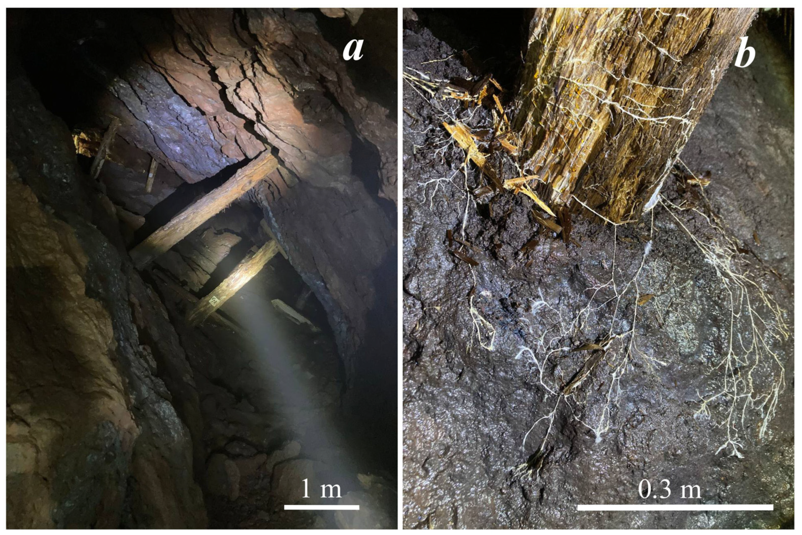 Crystals 13 00432 g001 Crystals 13 00432 g001