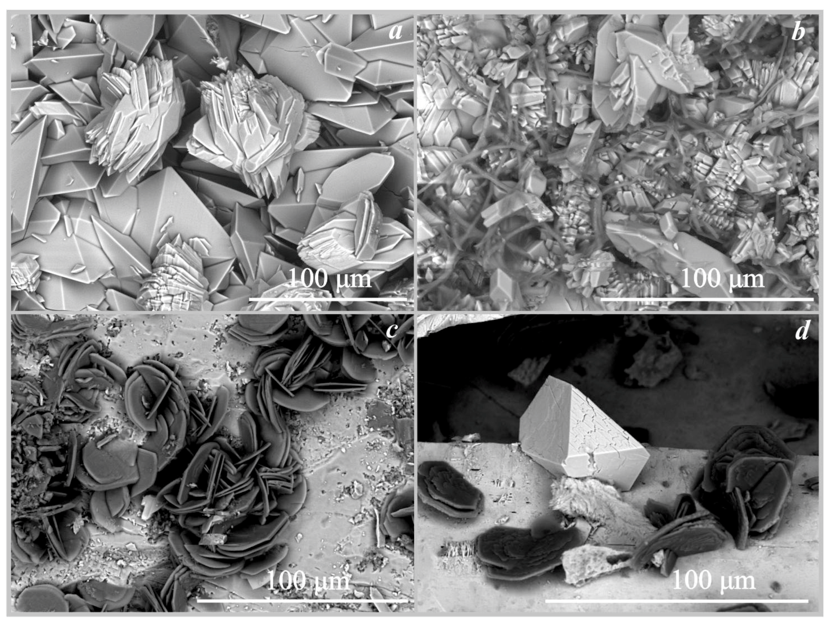 Crystals 13 00432 g005 Crystals 13 00432 g005