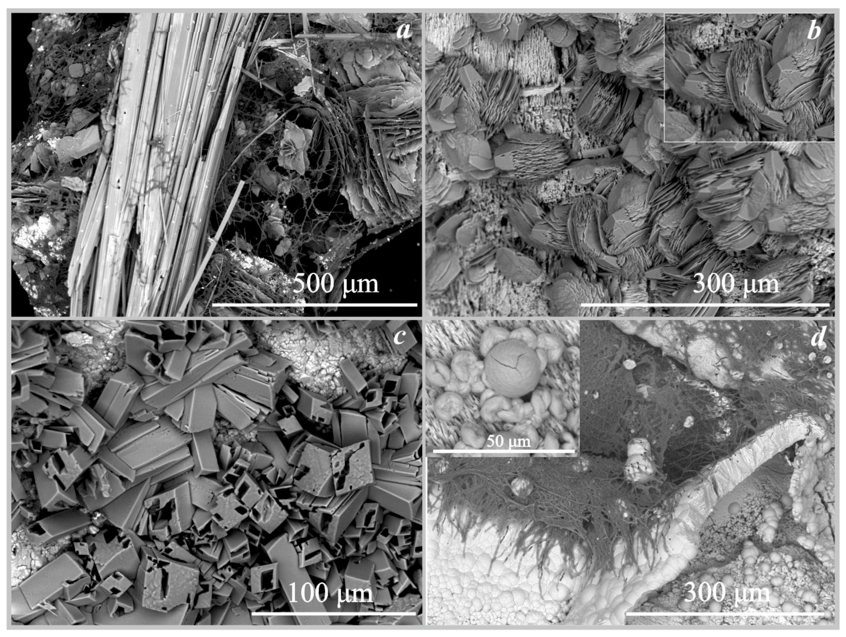 Crystals 13 00432 g006 Crystals 13 00432 g006