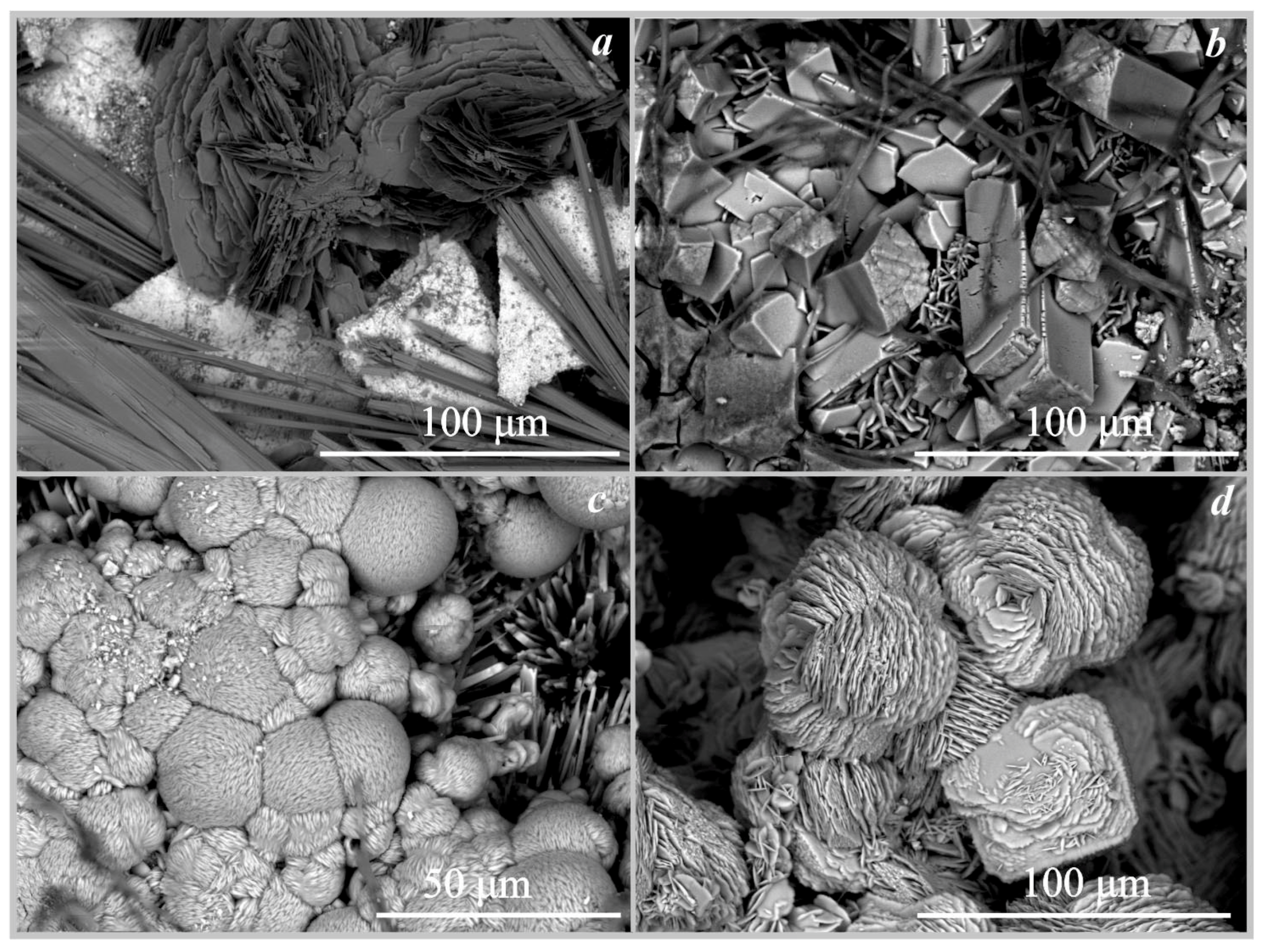 Crystals 13 00432 g007 Crystals 13 00432 g007