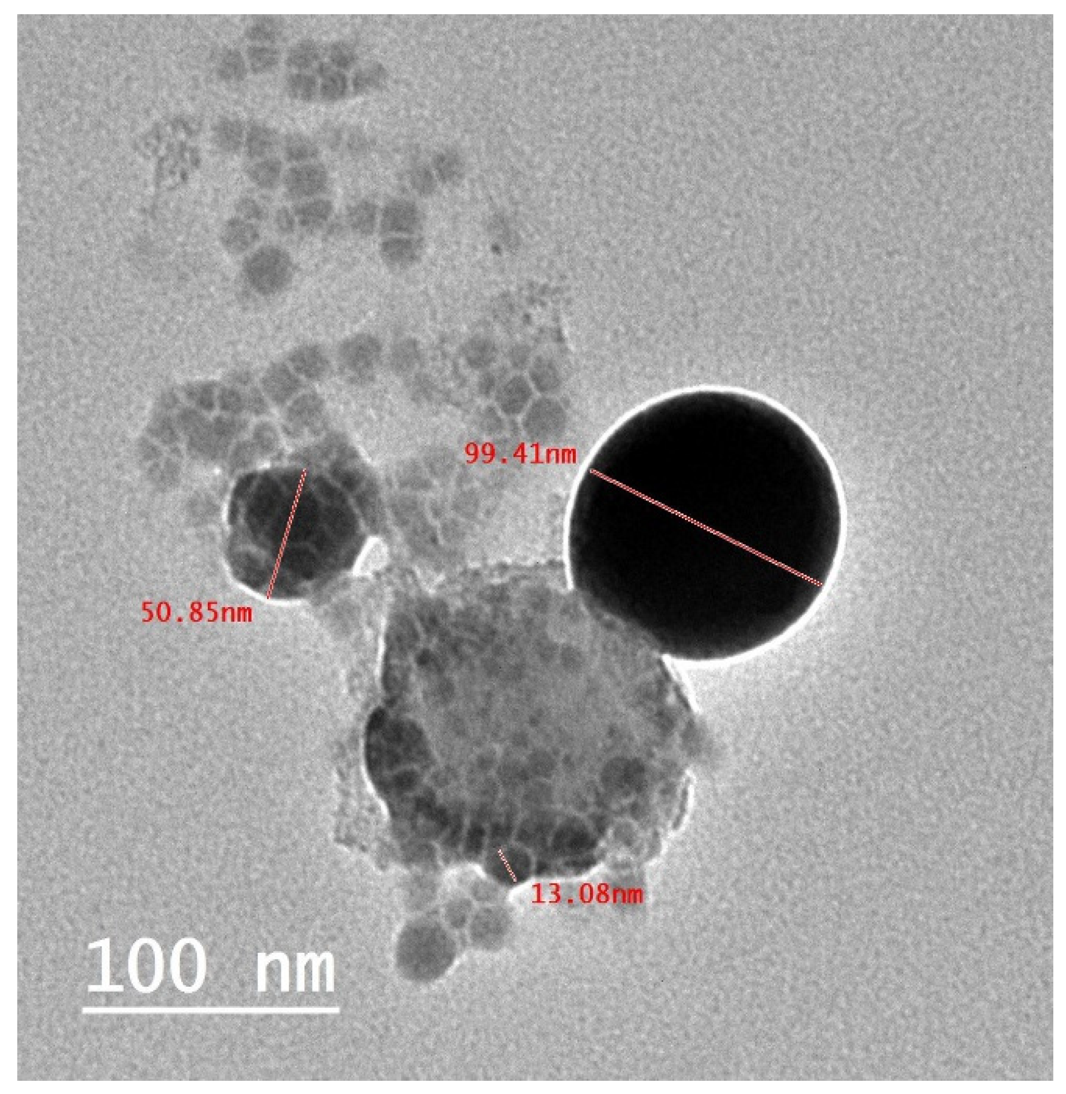 Crystals 13 00450 g005