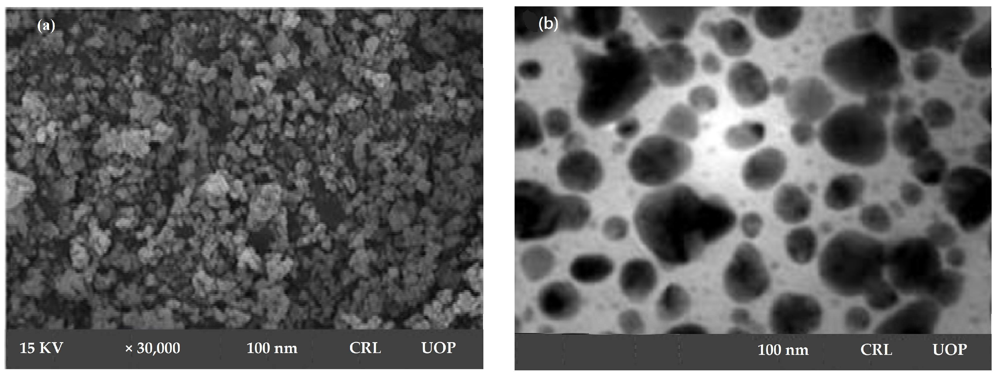 Crystals 13 00480 g002 Crystals 13 00480 g002