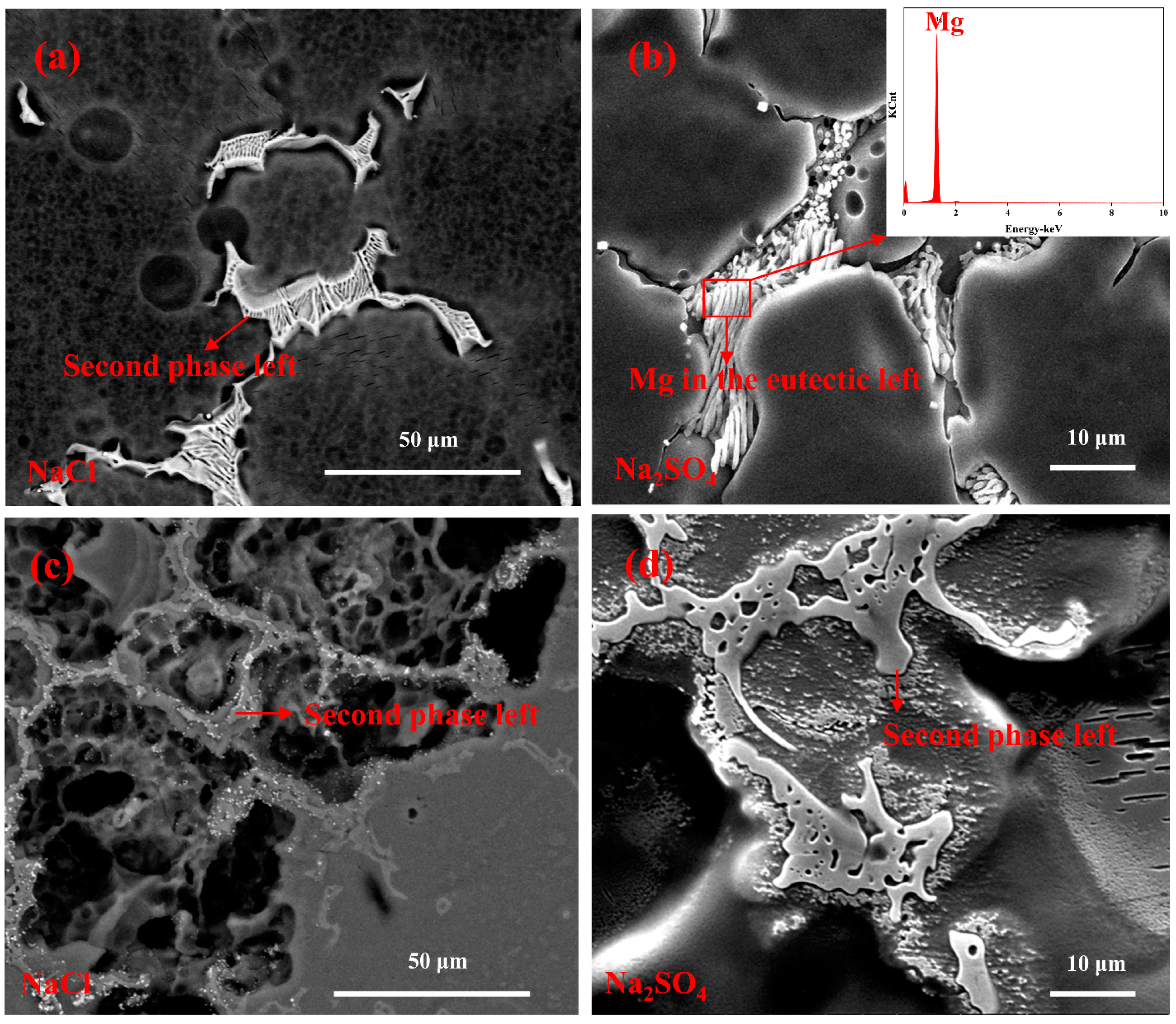 Crystals 13 00506 g005