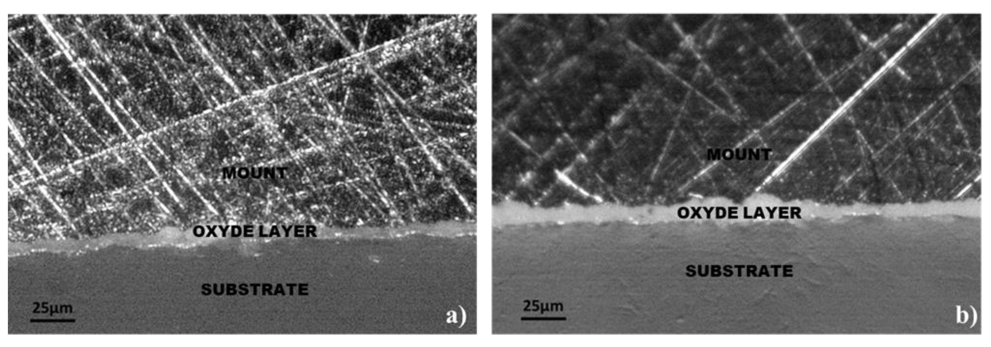 Crystals 13 00510 g005