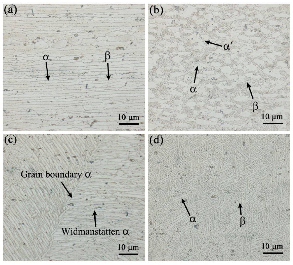 Crystals 13 00512 g004 Crystals 13 00512 g004