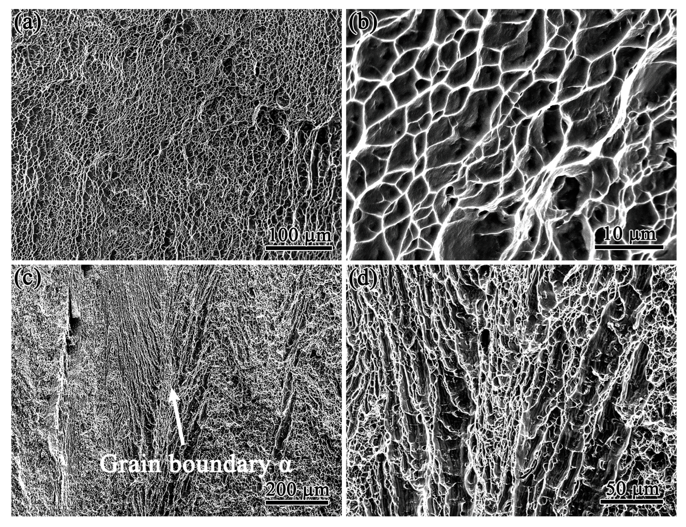 Crystals 13 00512 g007 Crystals 13 00512 g007