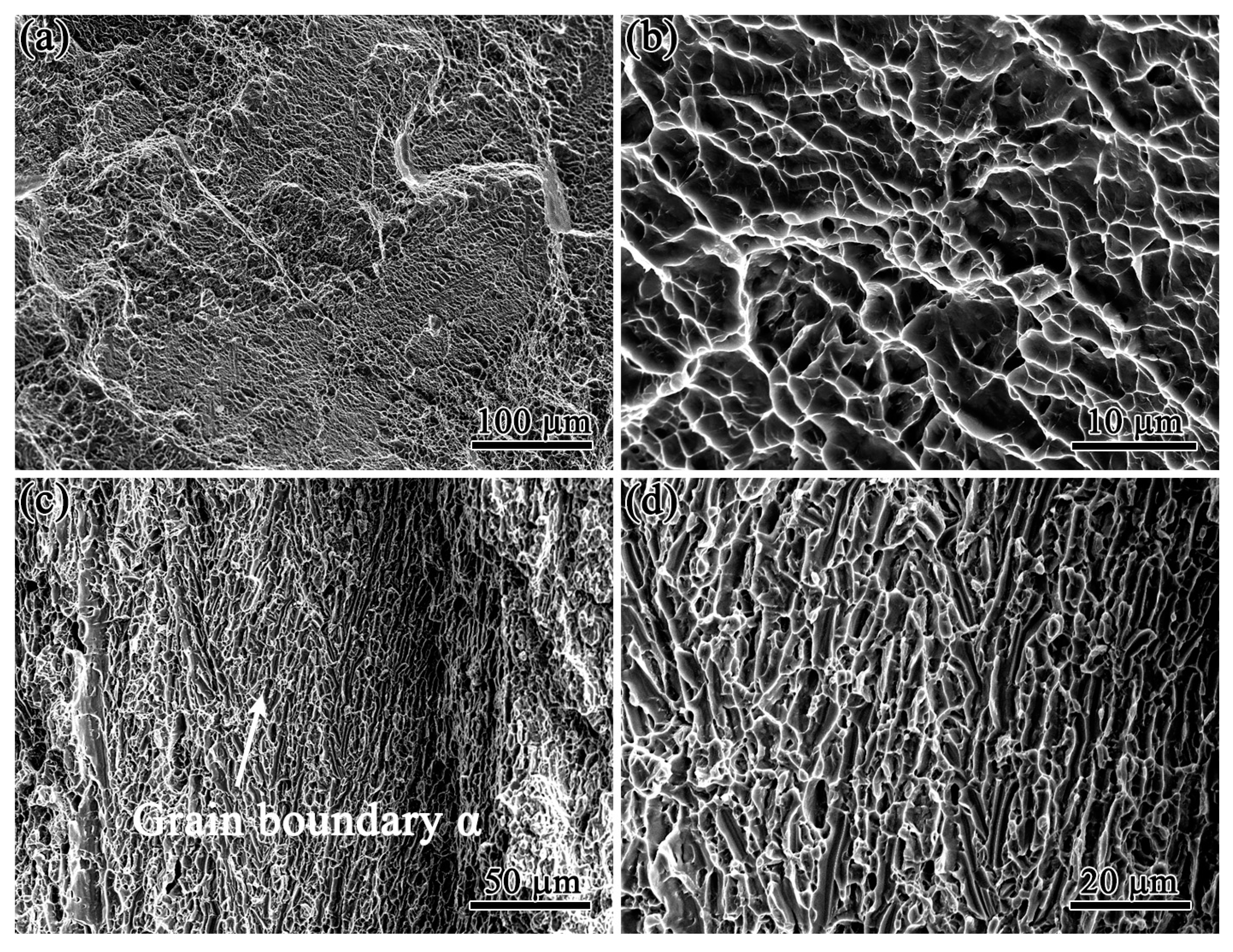 Crystals 13 00512 g009 Crystals 13 00512 g009