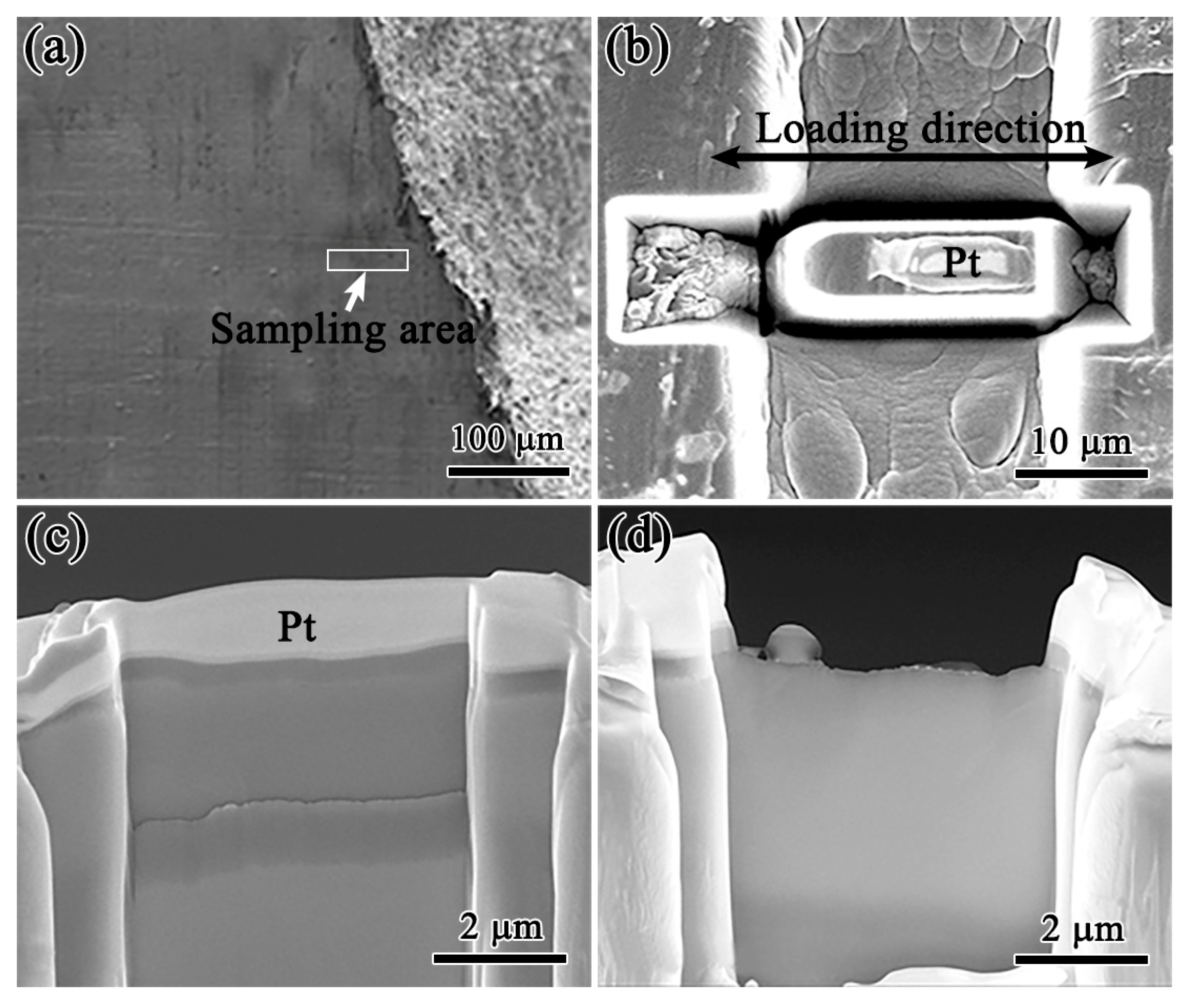 Crystals 13 00512 g010 Crystals 13 00512 g010