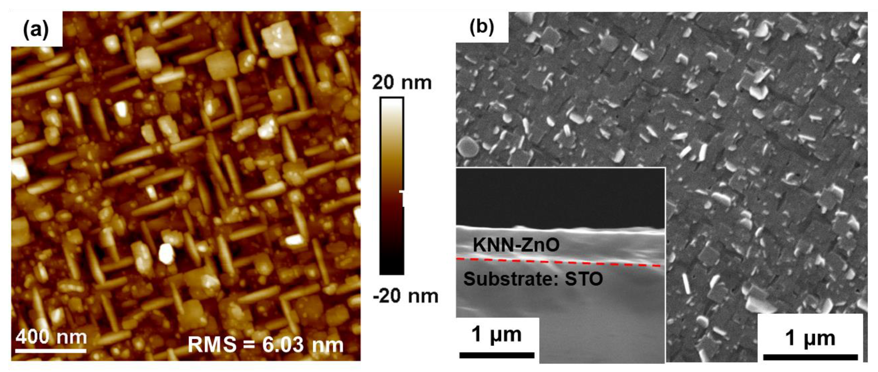 Crystals 13 00525 g002