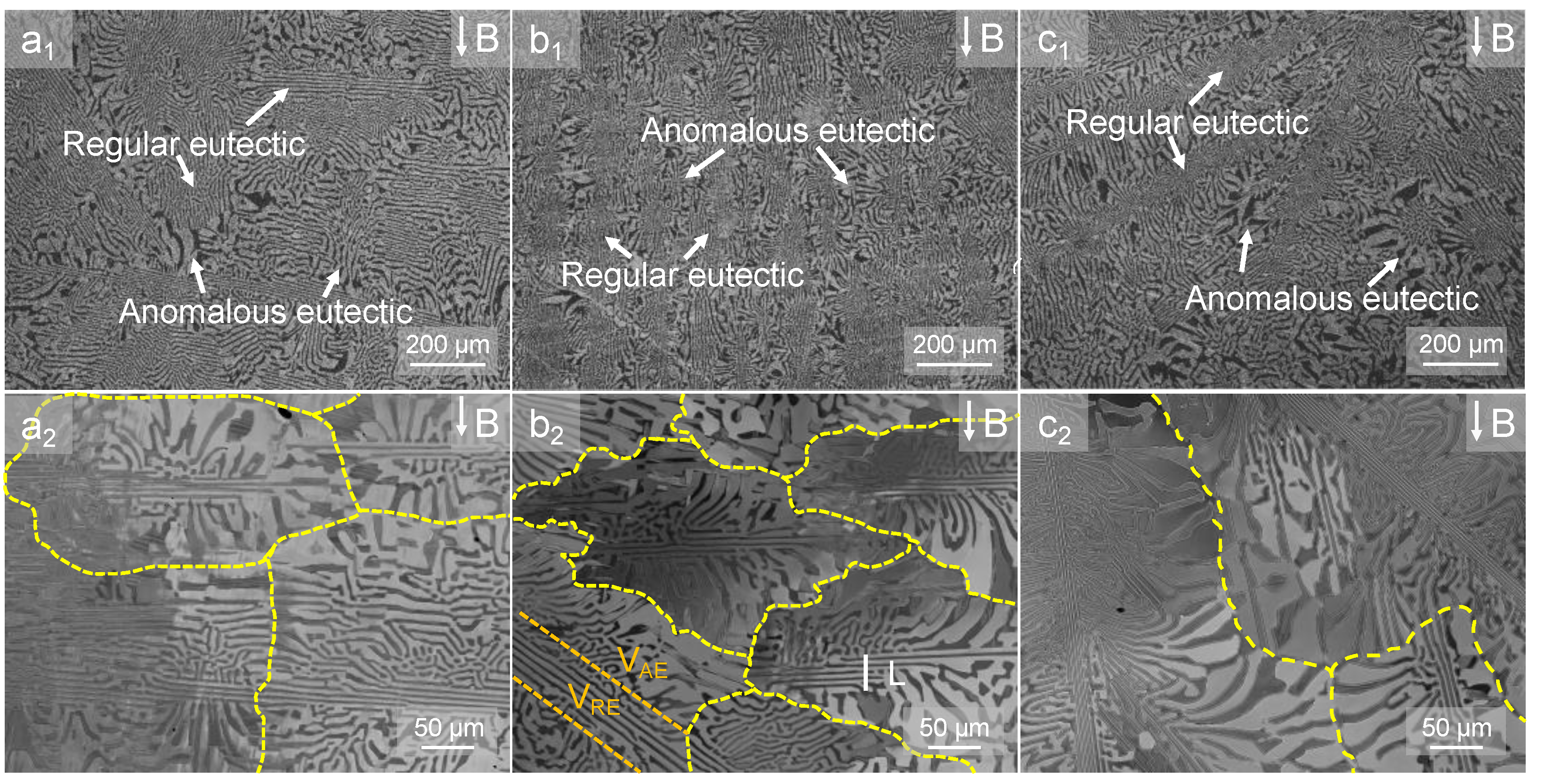 Crystals 13 00573 g006