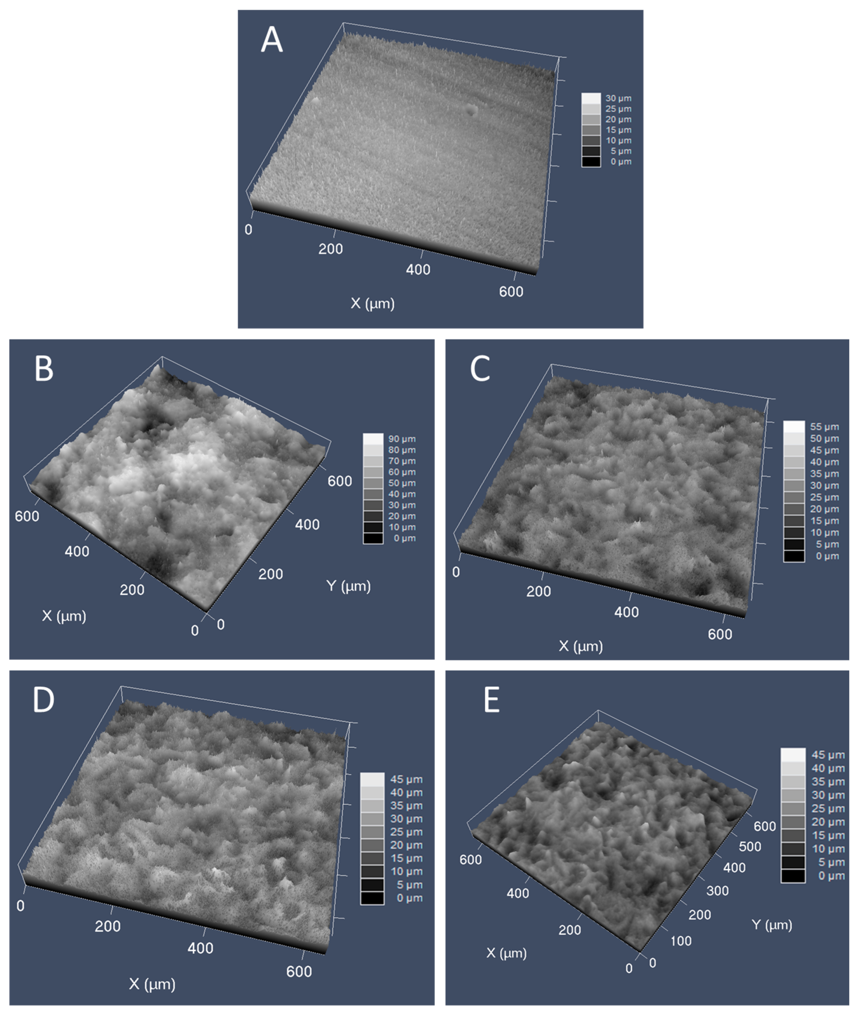 Crystals 13 00579 g006 Crystals 13 00579 g006