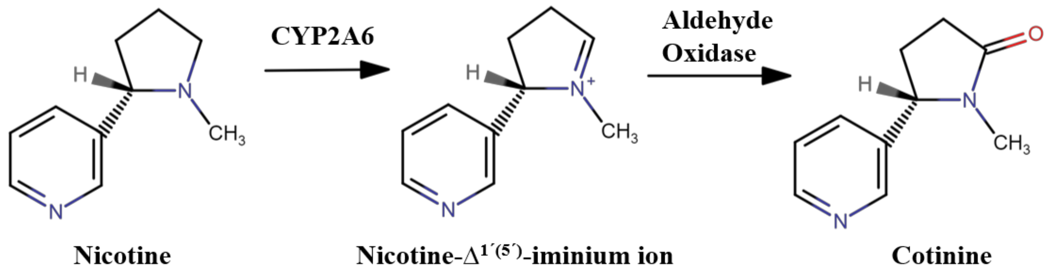 Crystals Free FullText Determination of Nicotine in Human Saliva