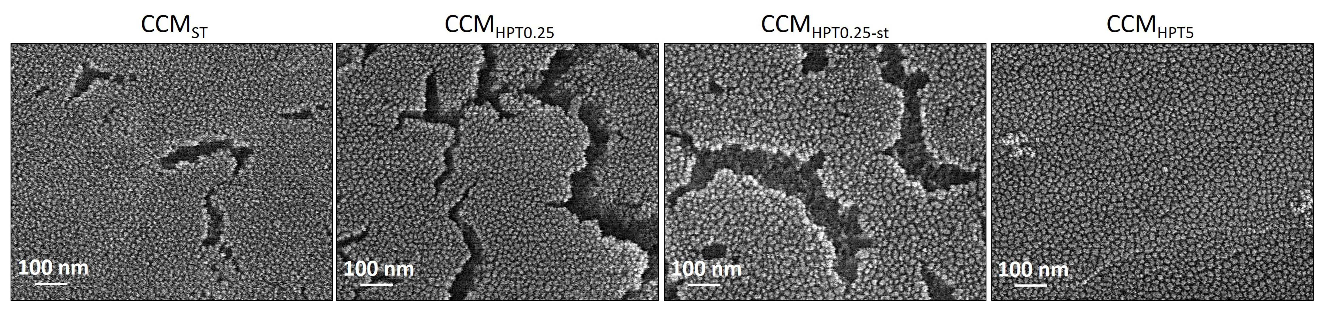 Crystals 13 00590 g005