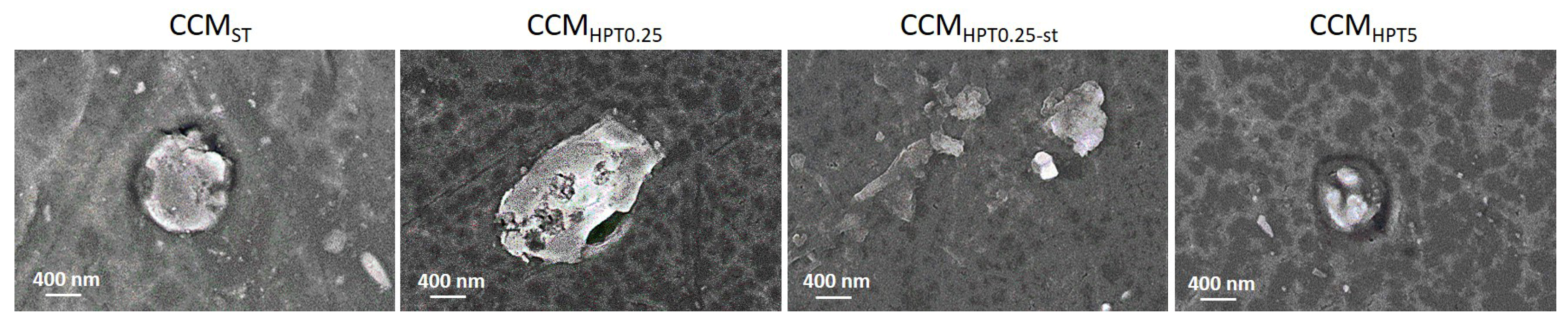 Crystals 13 00590 g006