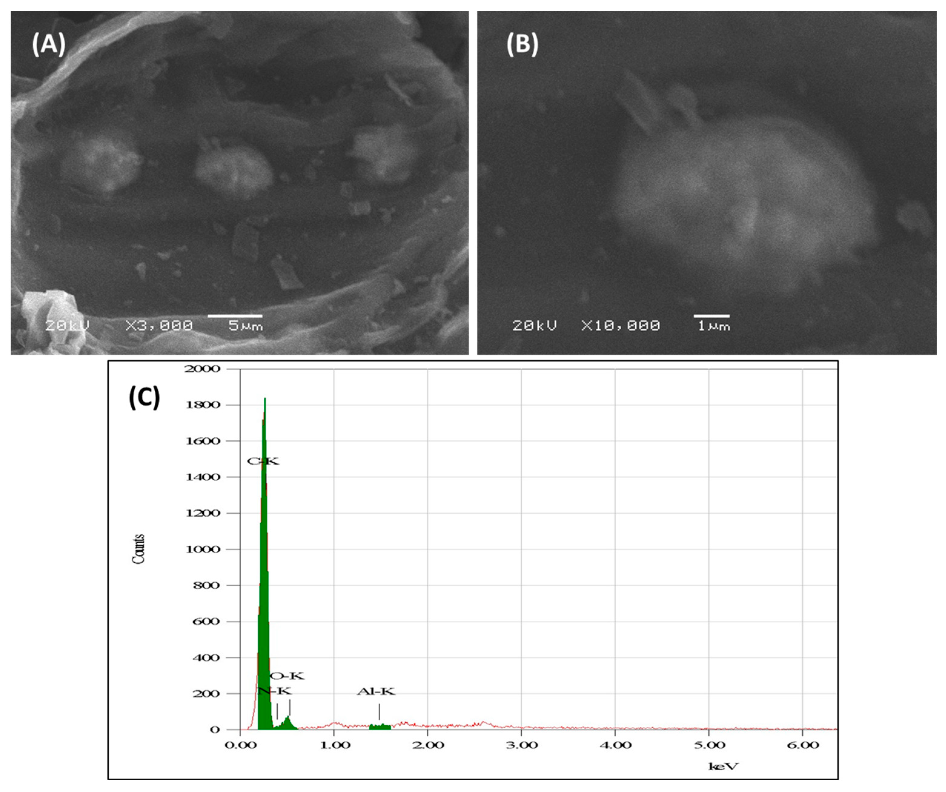 Crystals 13 00598 g001 Crystals 13 00598 g001