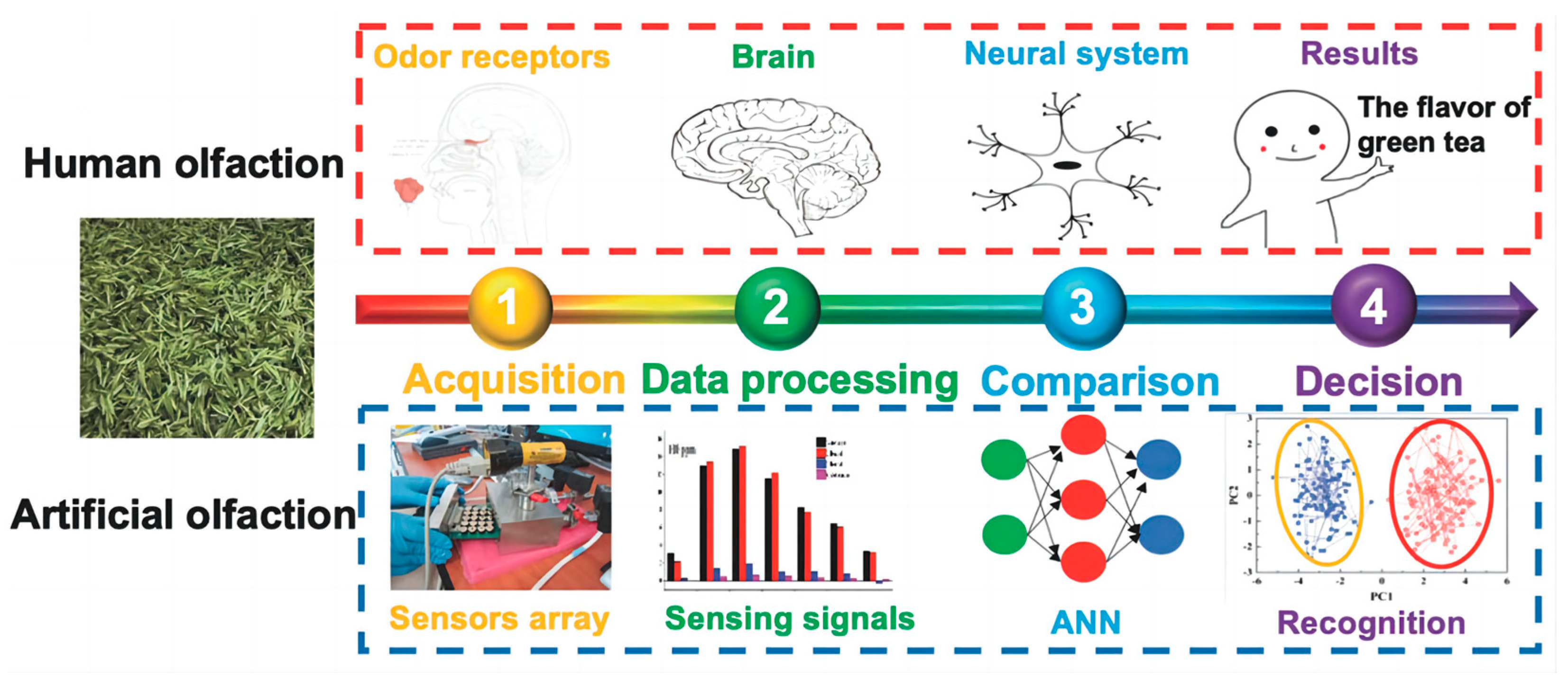 Crystals 13 00615 g001 Crystals 13 00615 g001