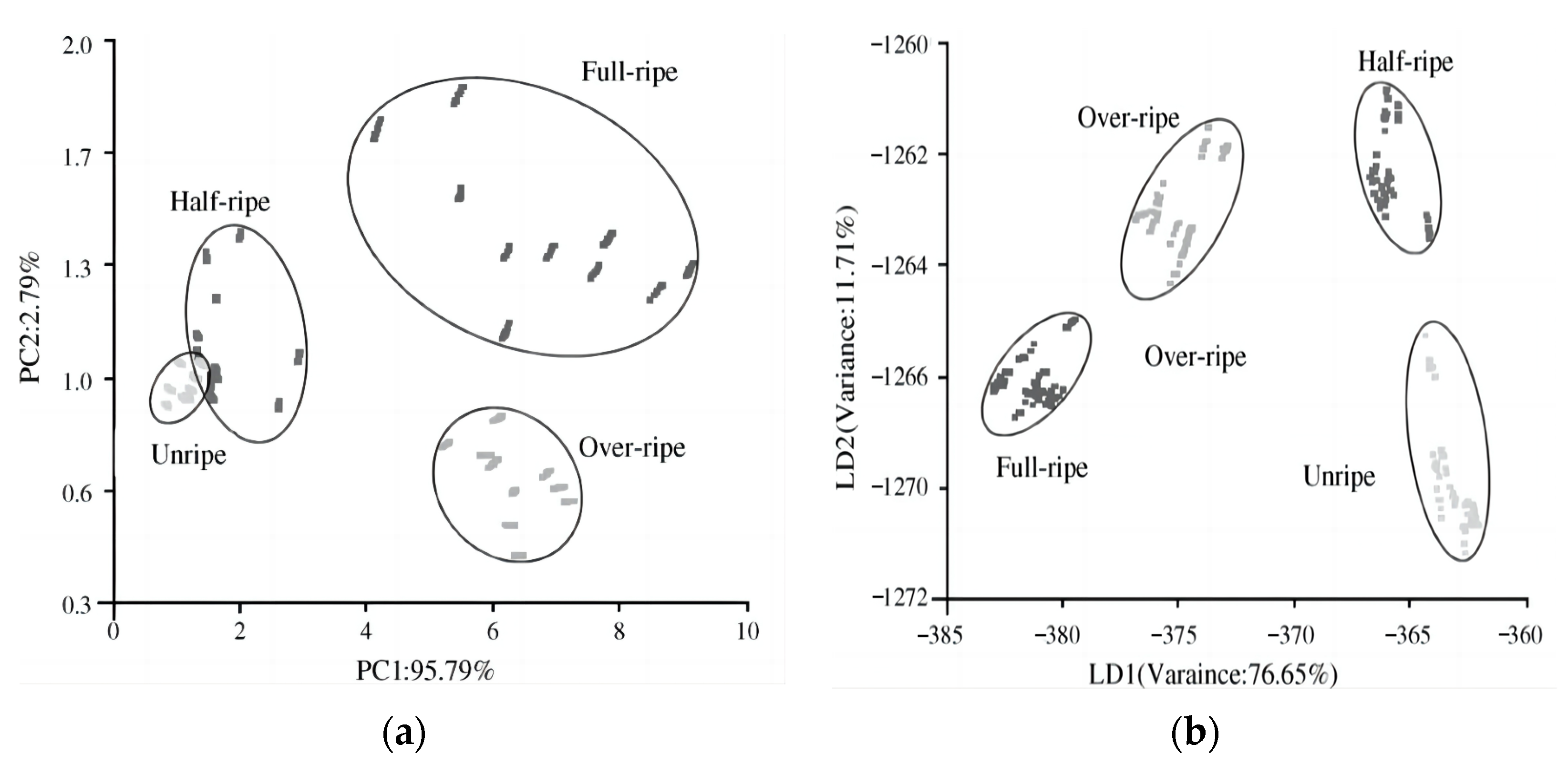 Crystals 13 00615 g004 Crystals 13 00615 g004