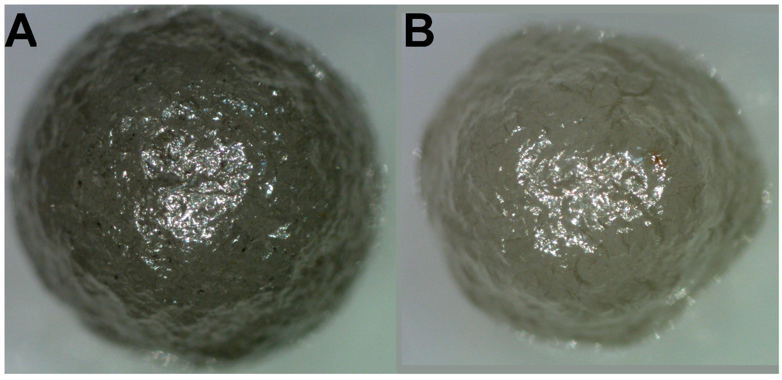 Crystals 13 00624 g001