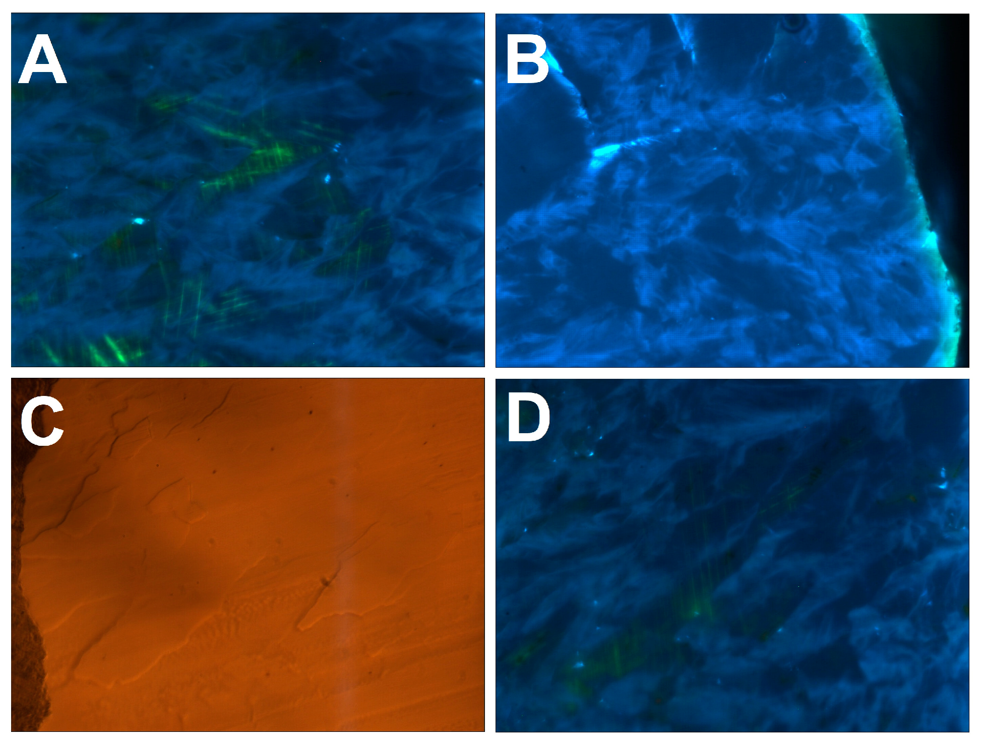 Crystals 13 00624 g007