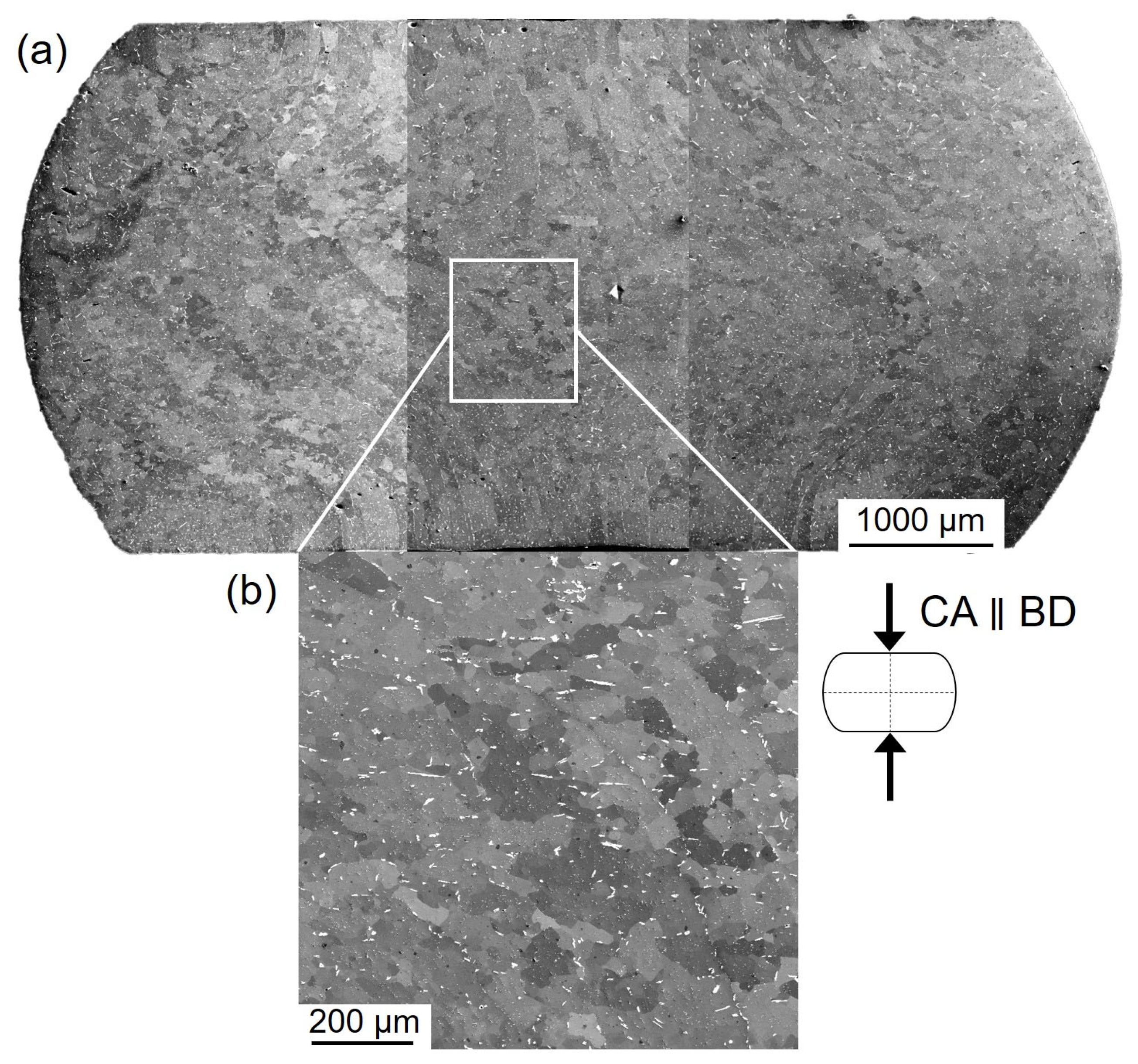 Crystals 13 00627 g003