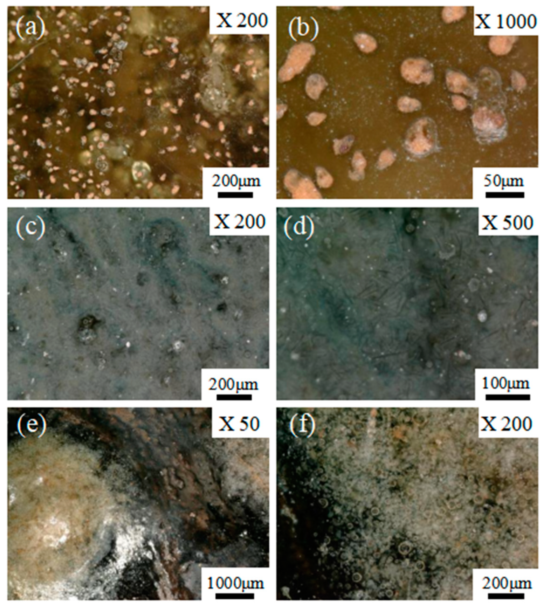 Crystals 13 00632 g003 Crystals 13 00632 g003