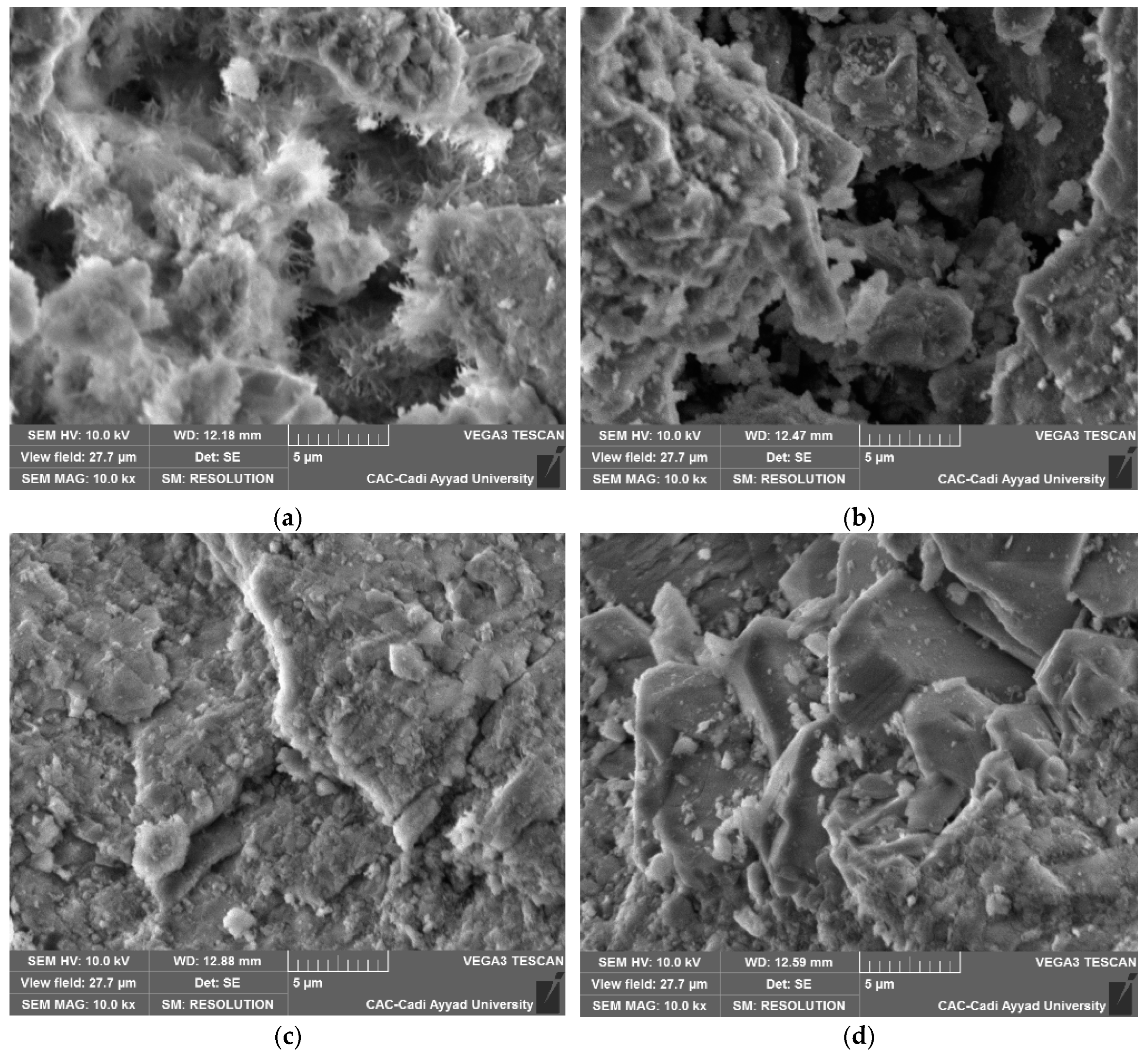 Crystals 13 00647 g005 Crystals 13 00647 g005