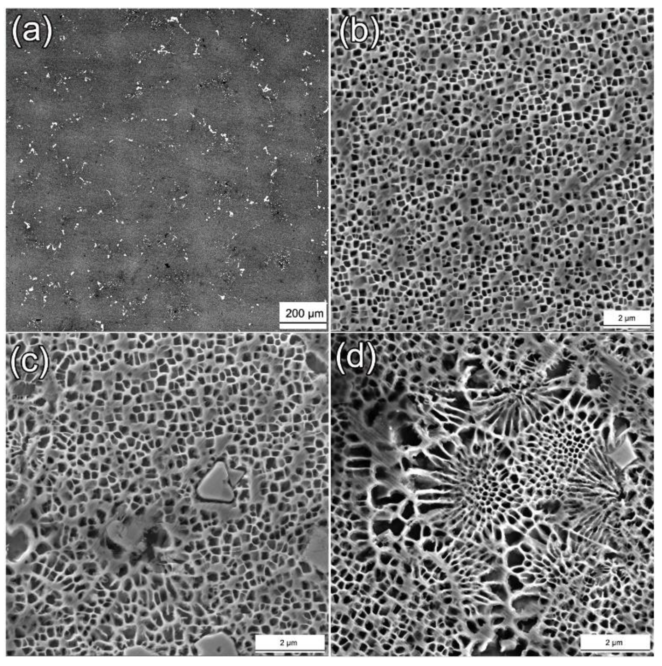 Crystals 13 00669 g002