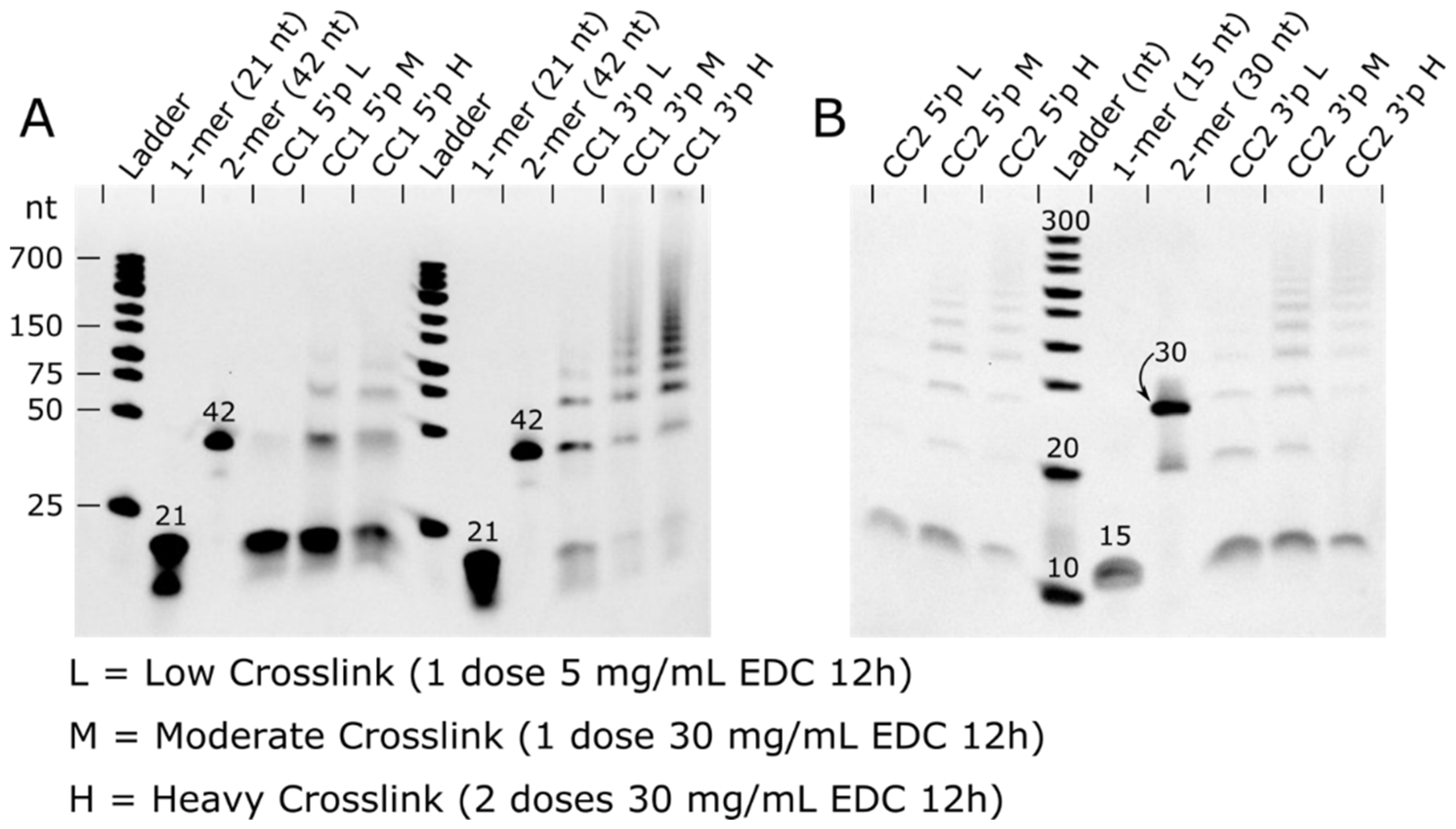 Crystals 13 00675 g004 550