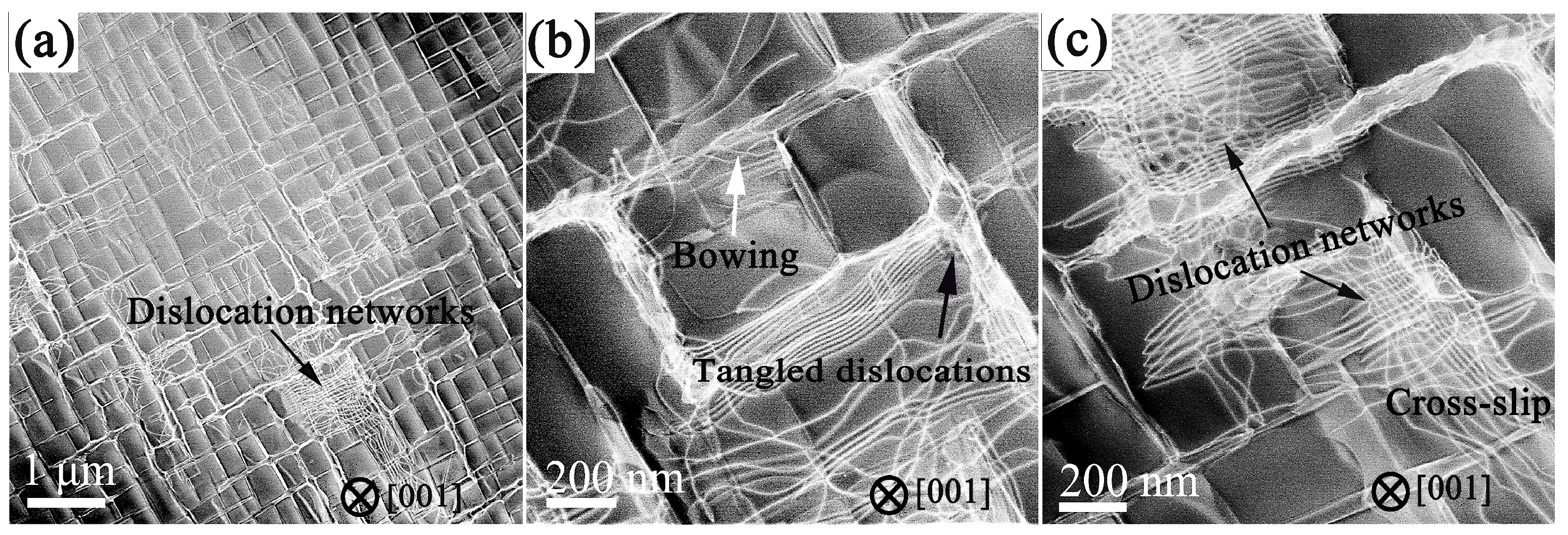 Crystals 13 00686 g006 Crystals 13 00686 g006