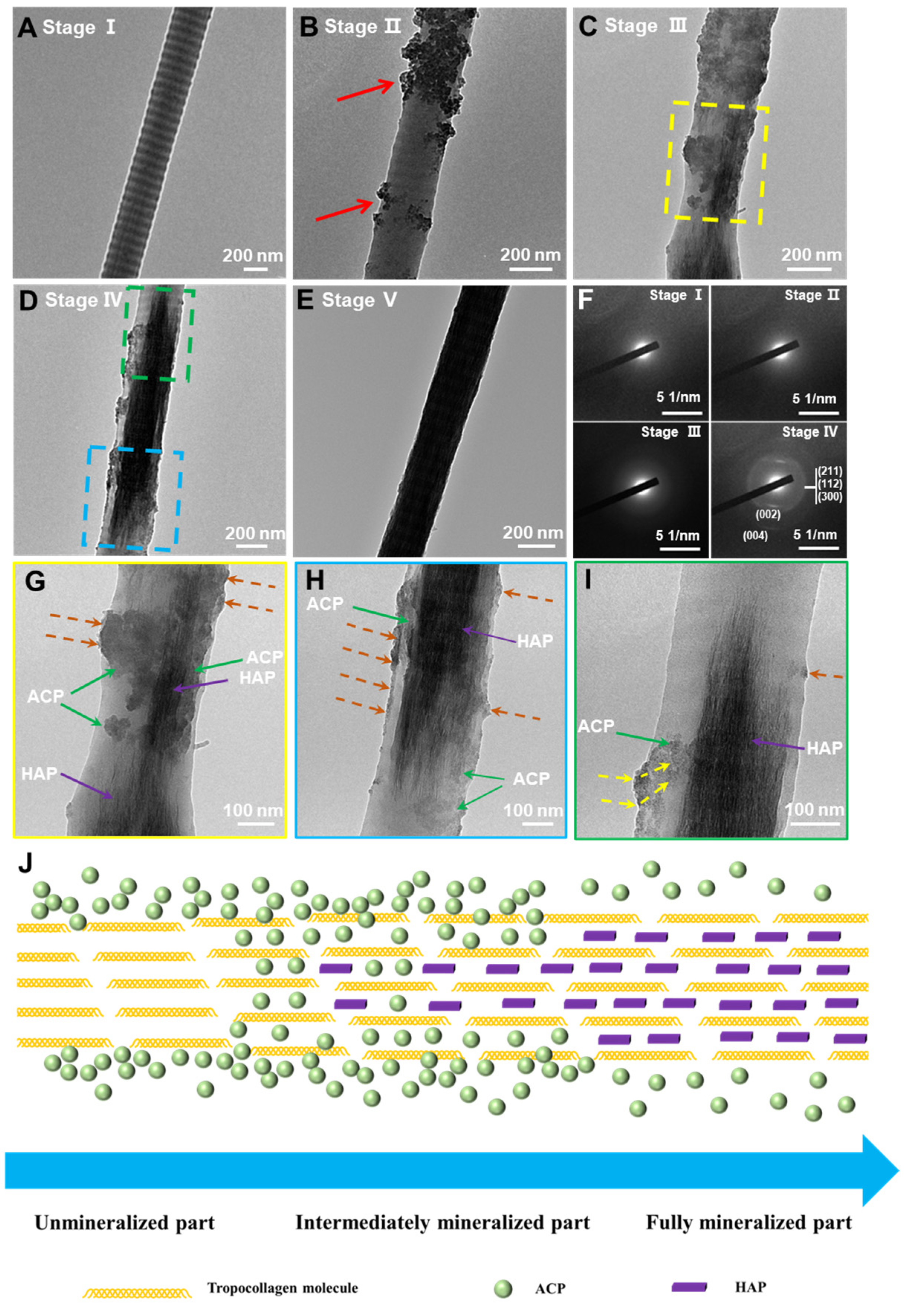Crystals 13 00692 g004