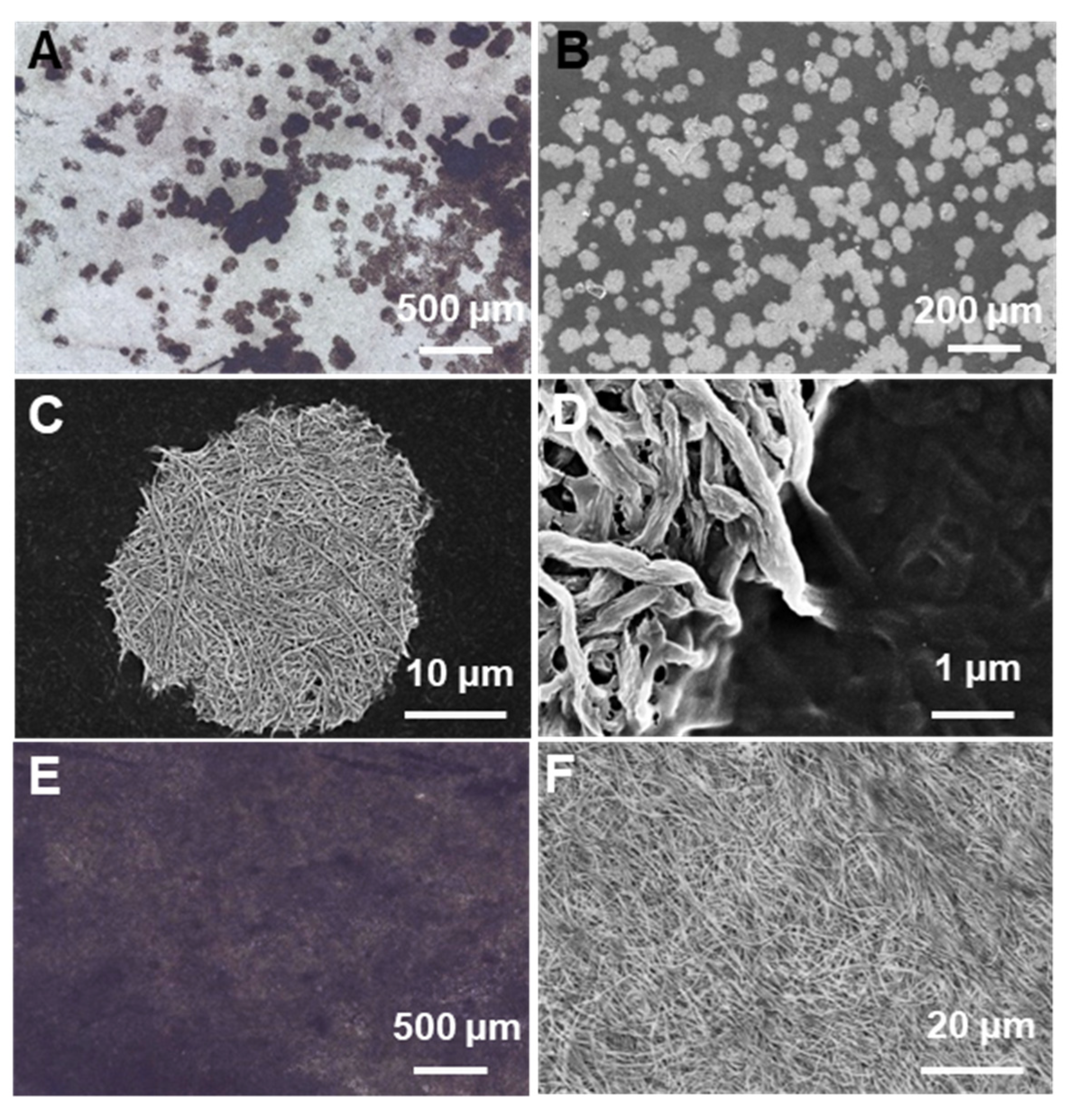 Crystals 13 00692 g005