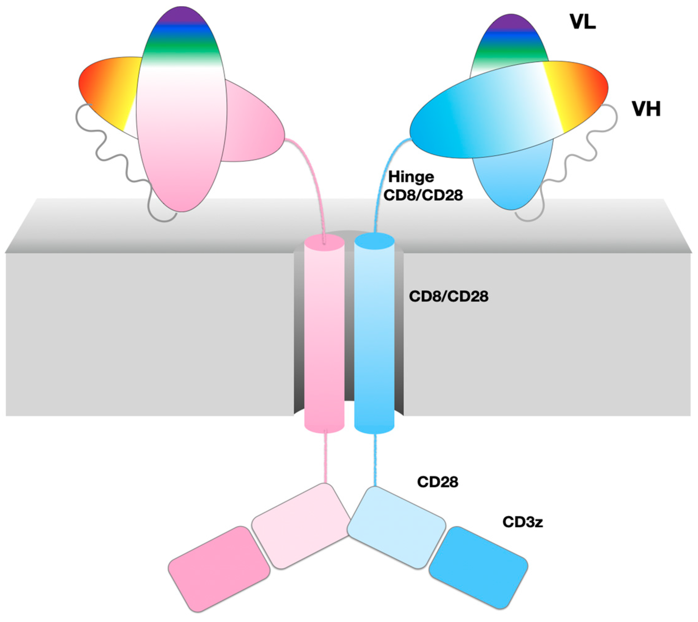 Crystals Free FullText Crystal Structure of a Chimeric Antigen