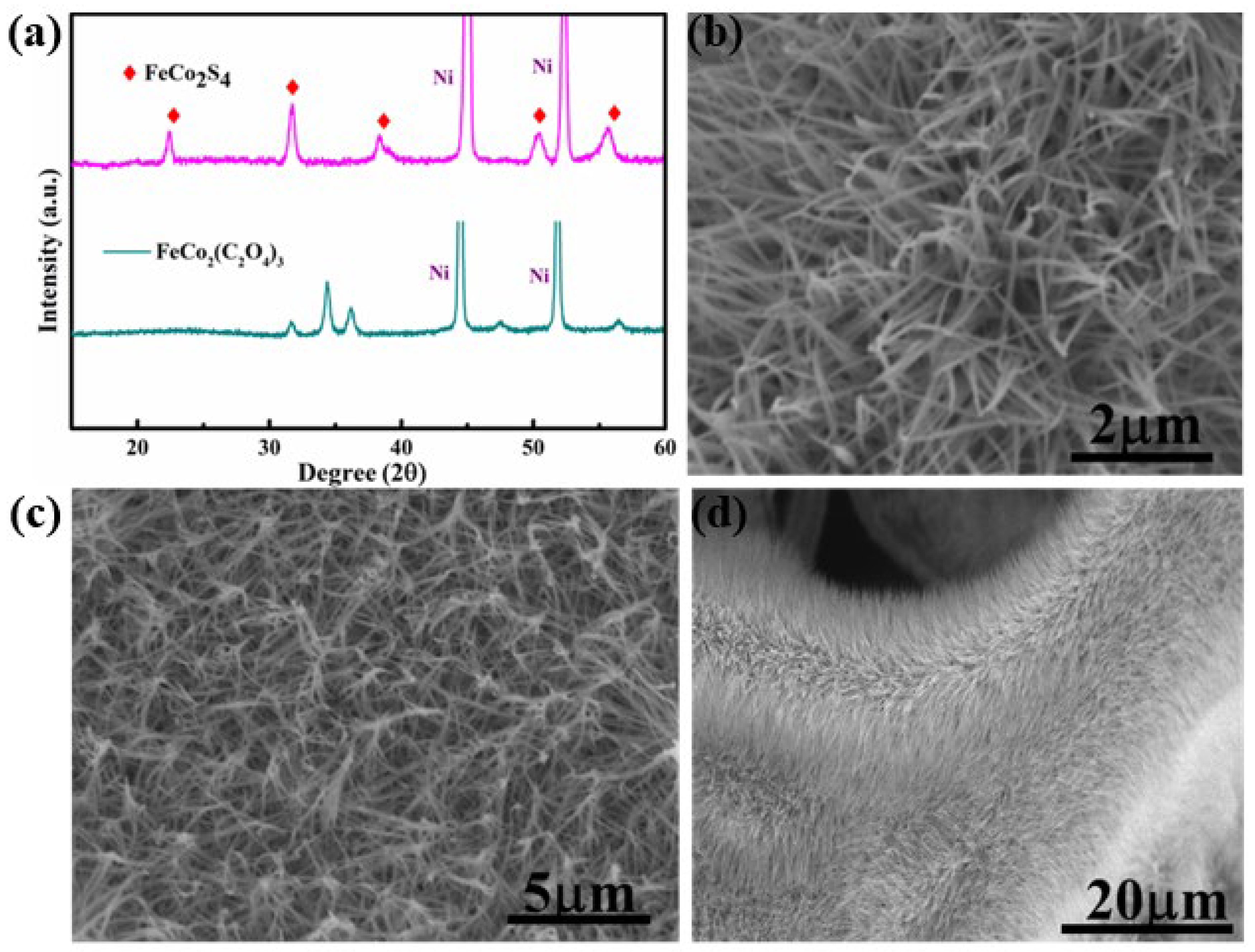 Crystals 13 00717 g001