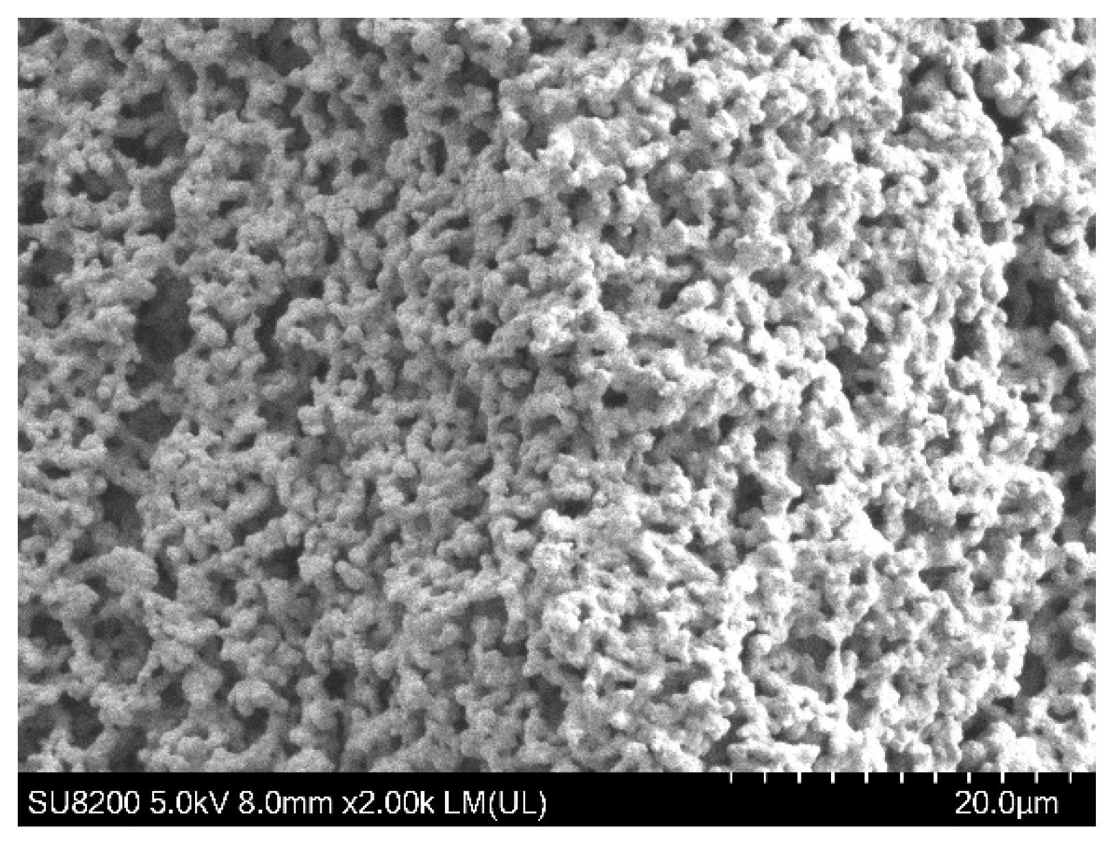 Crystals 13 00720 g006