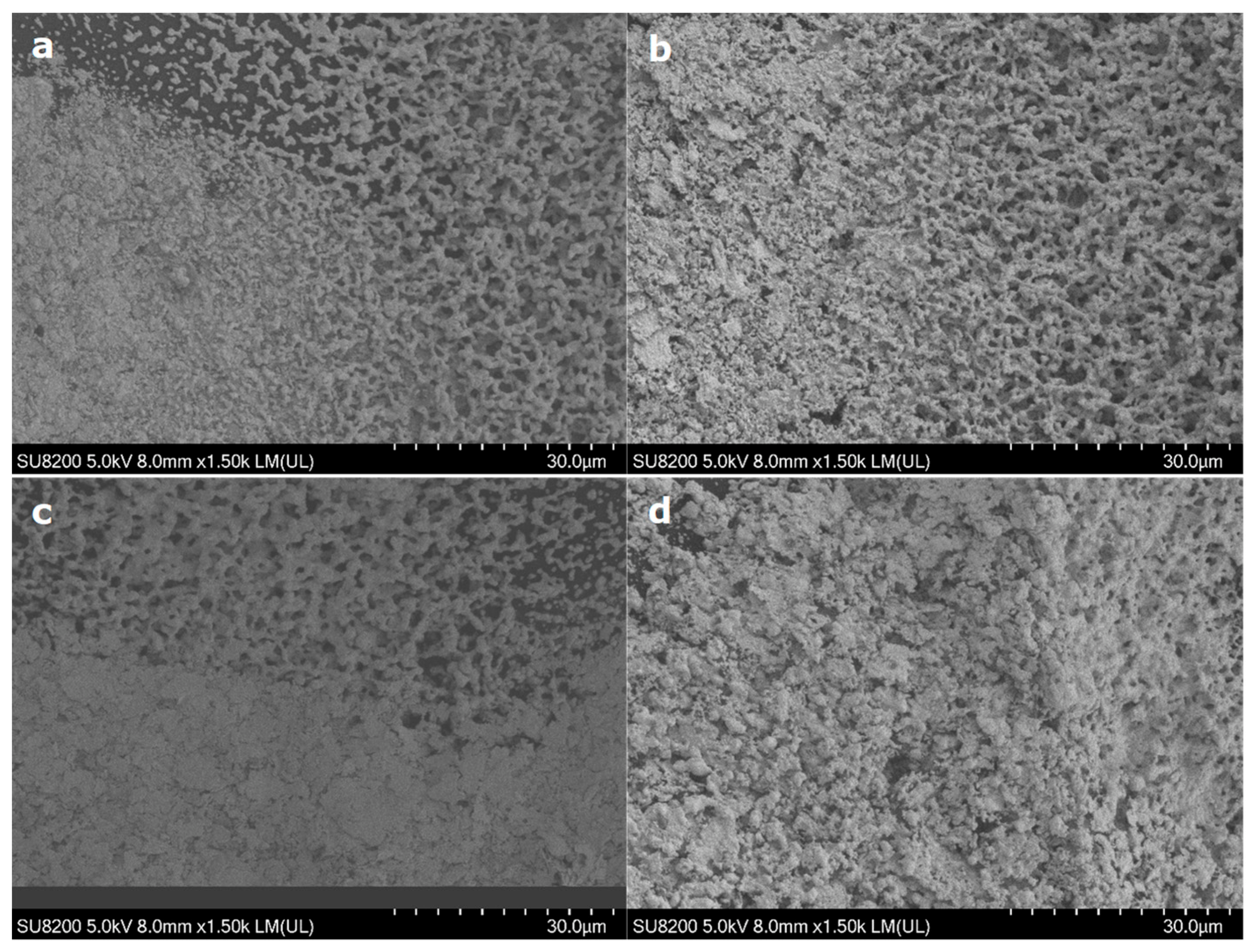 Crystals 13 00720 g007