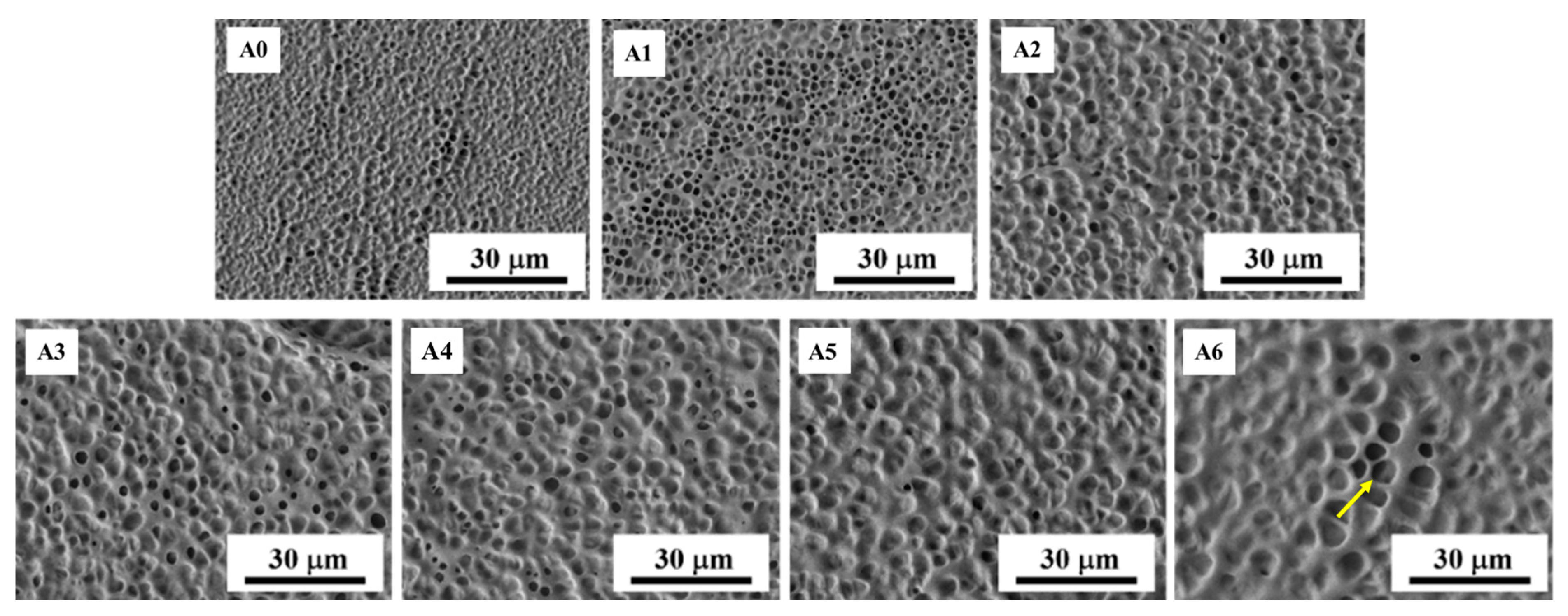 Crystals 13 00735 g003 Crystals 13 00735 g003