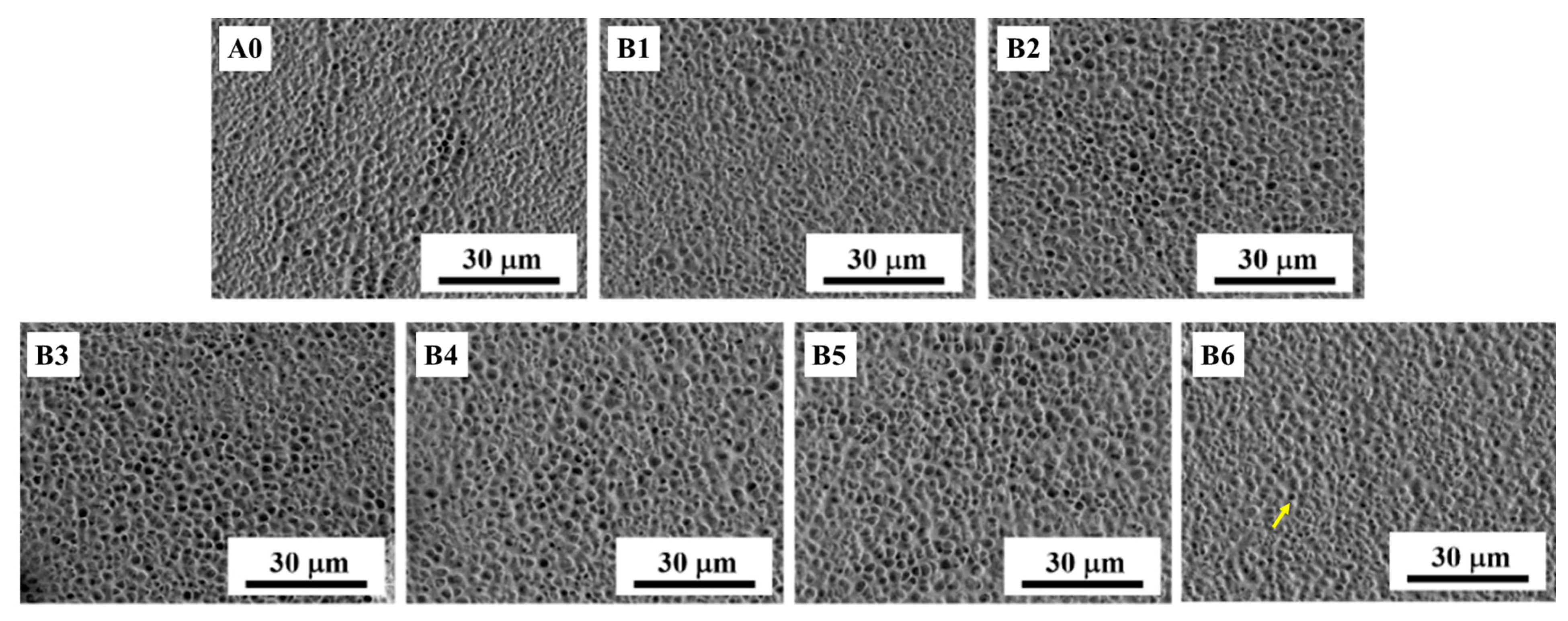 Crystals 13 00735 g004 Crystals 13 00735 g004