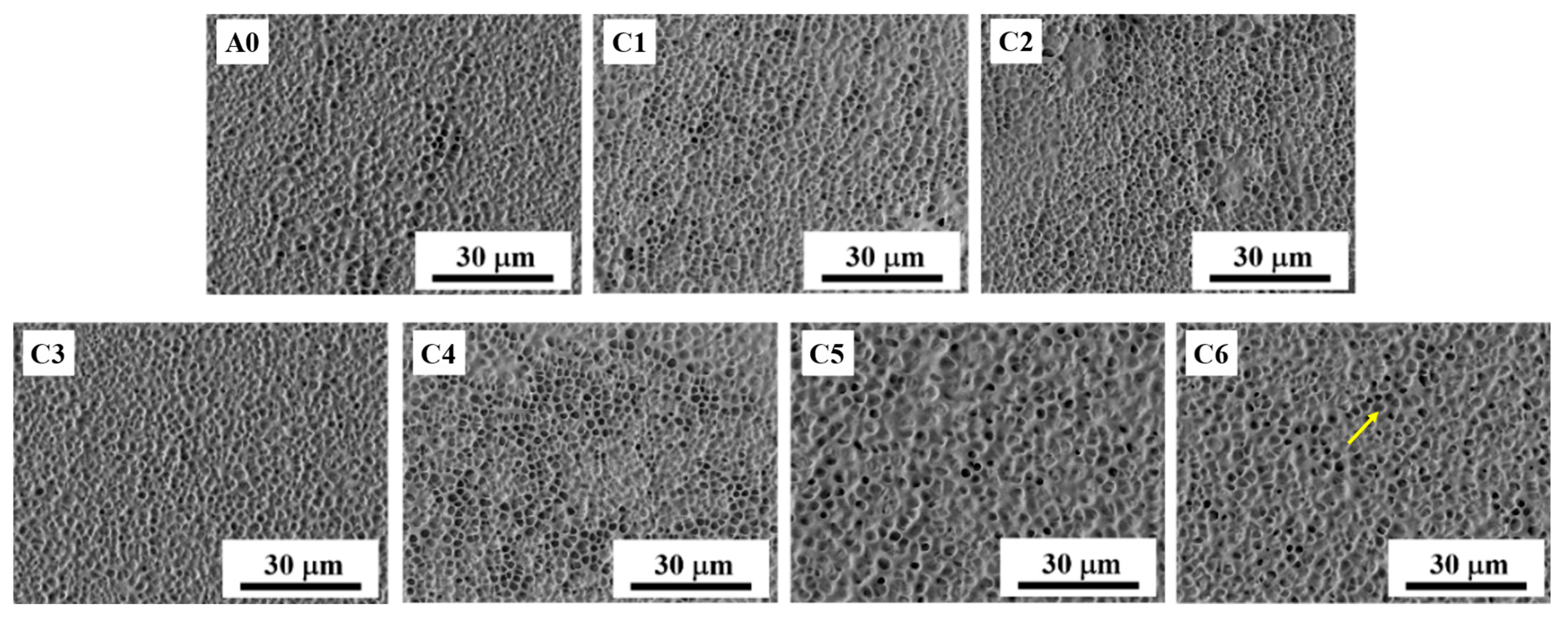 Crystals 13 00735 g005 Crystals 13 00735 g005