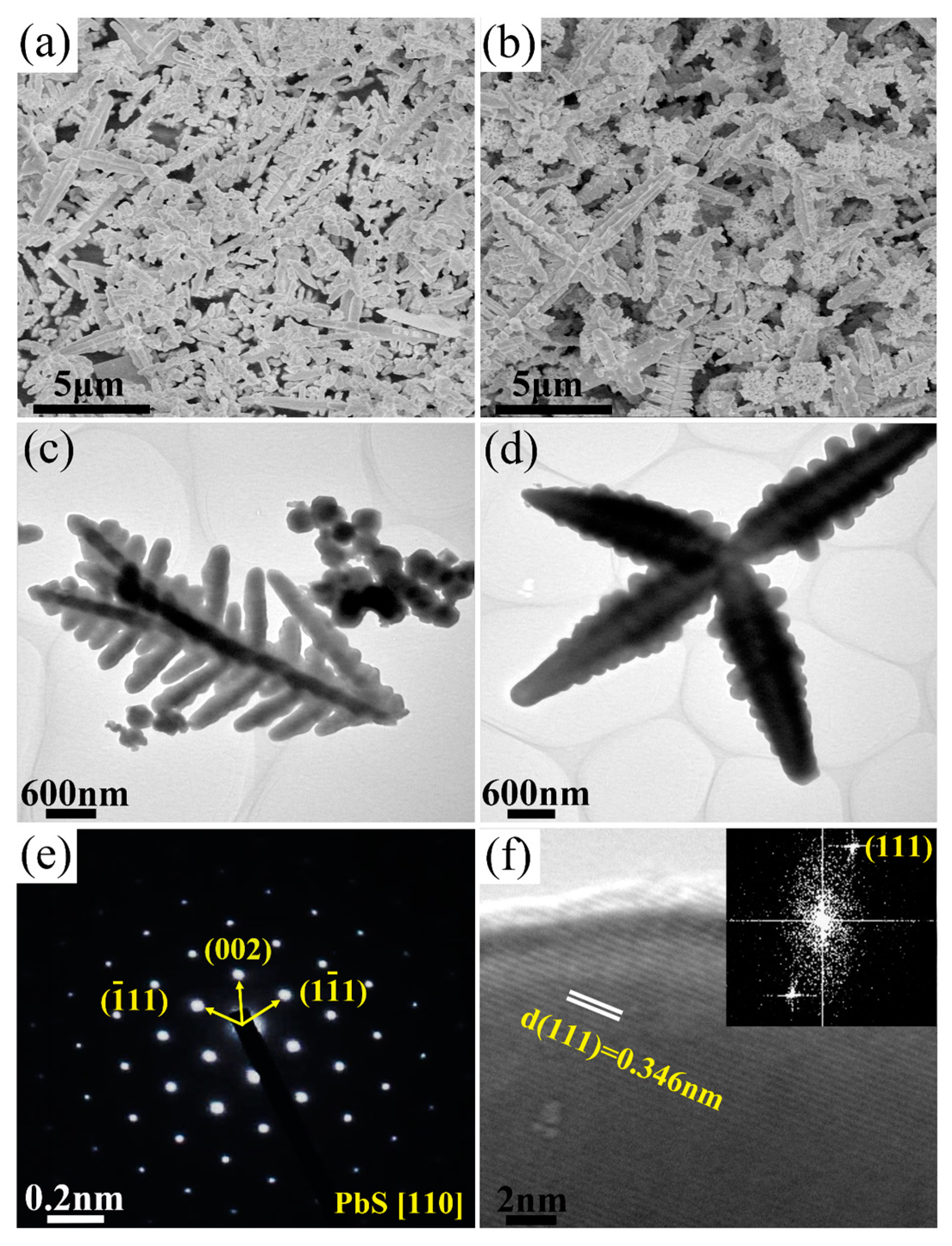 Crystals 13 00764 g005