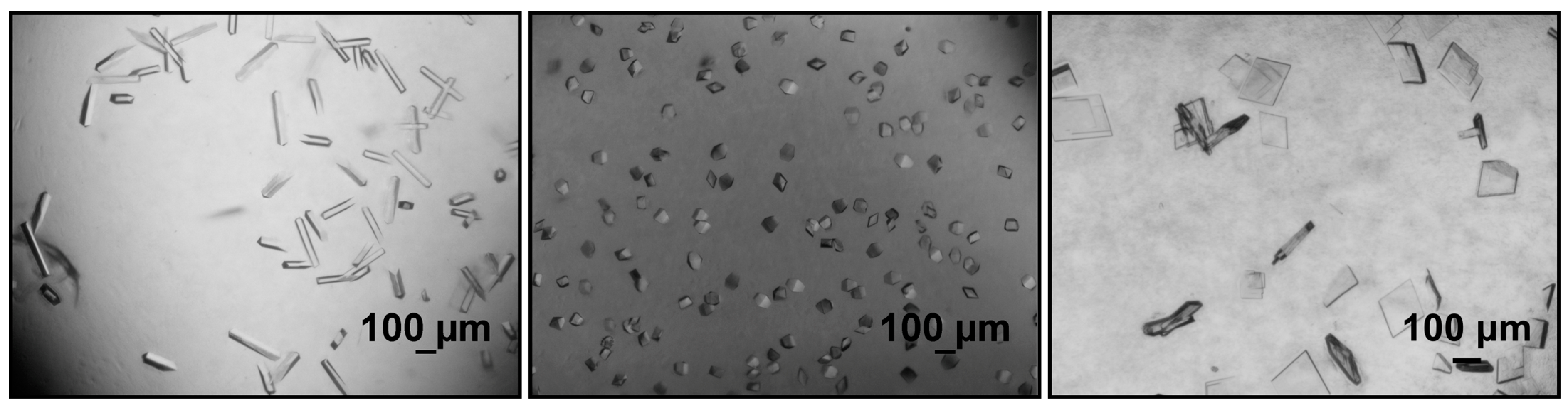 Crystals 13 00773 g002 Crystals 13 00773 g002