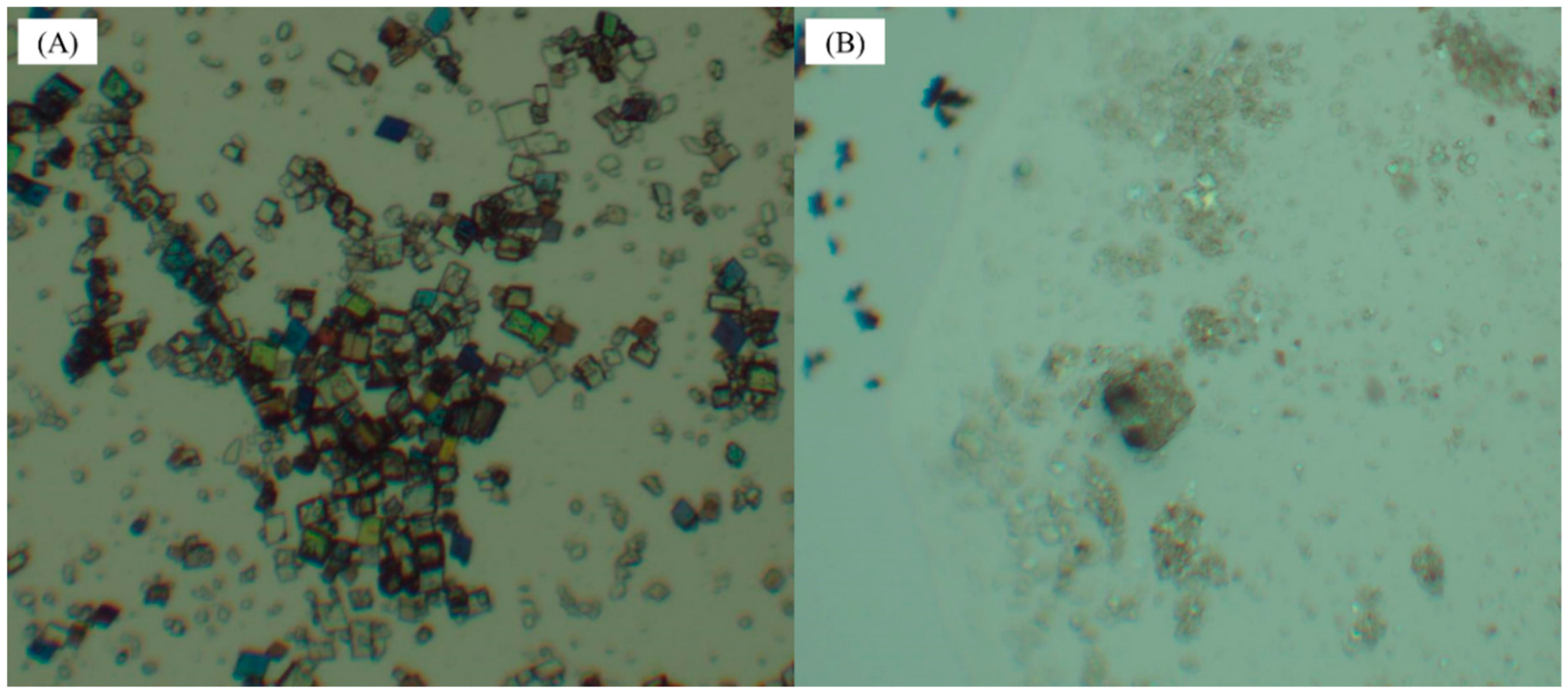 Crystals 13 00775 g007 Crystals 13 00775 g007