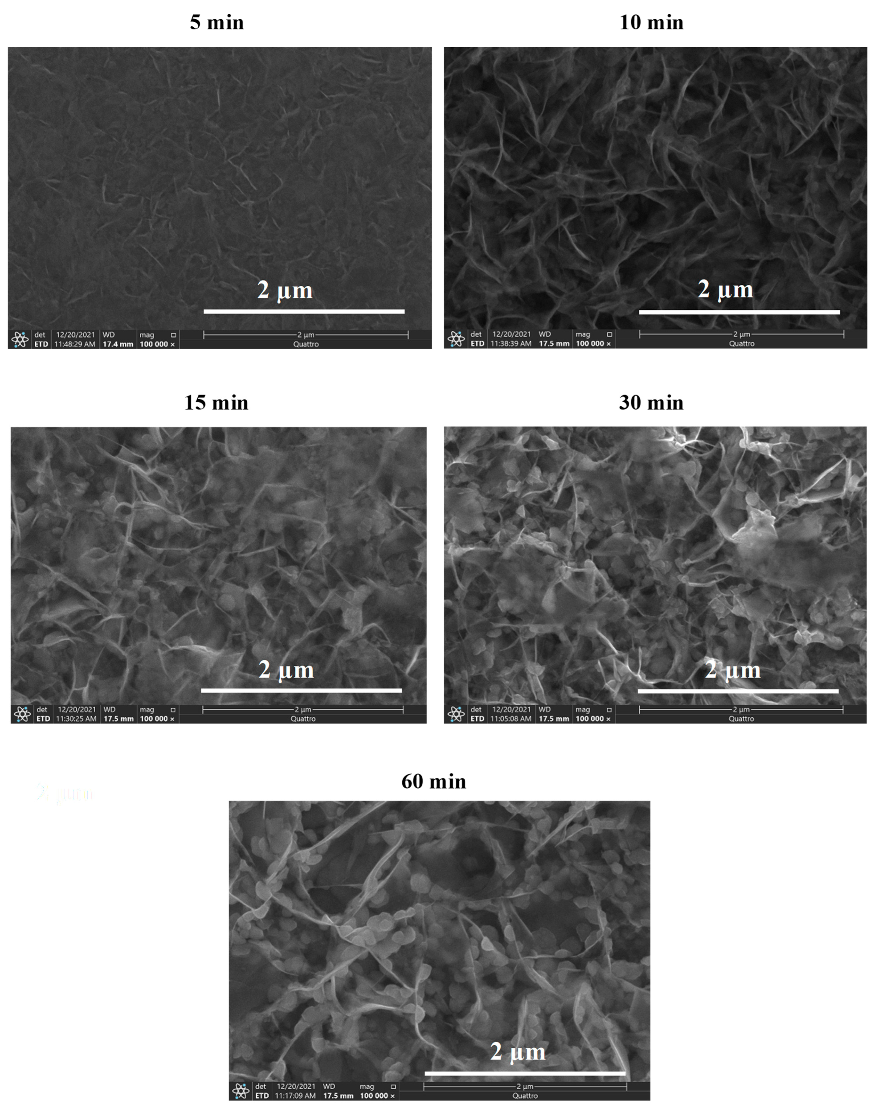 Crystals 13 00788 g005