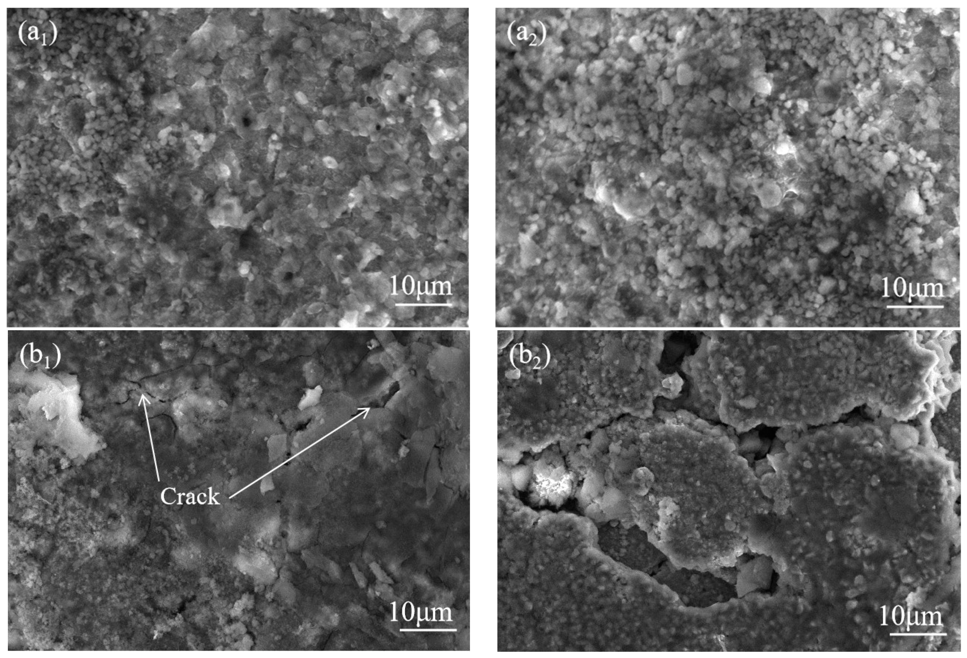 Crystals 13 00794 g008