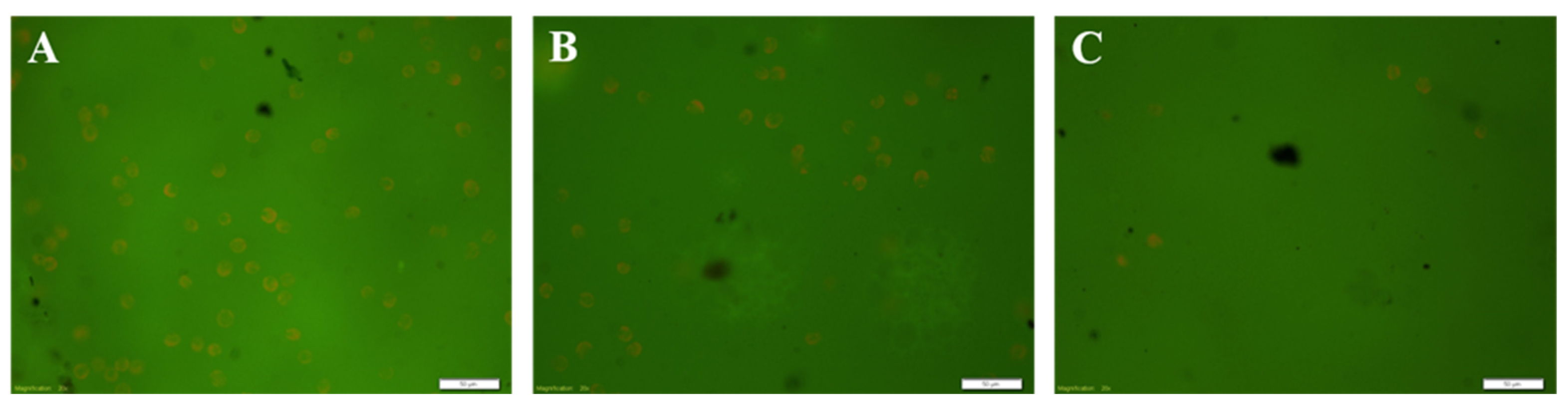 Crystals 13 00798 g003 Crystals 13 00798 g003