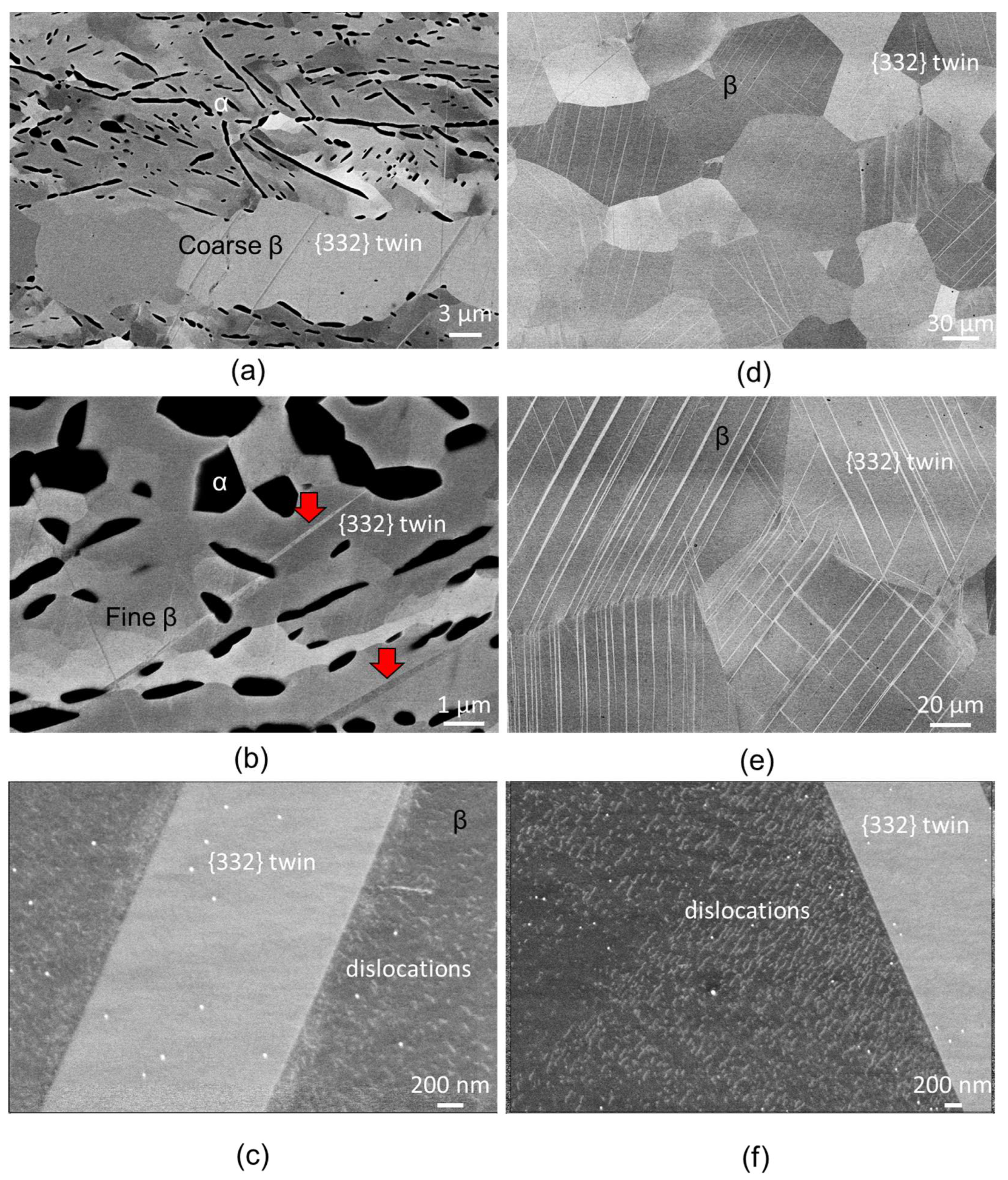 Crystals 13 00818 g007