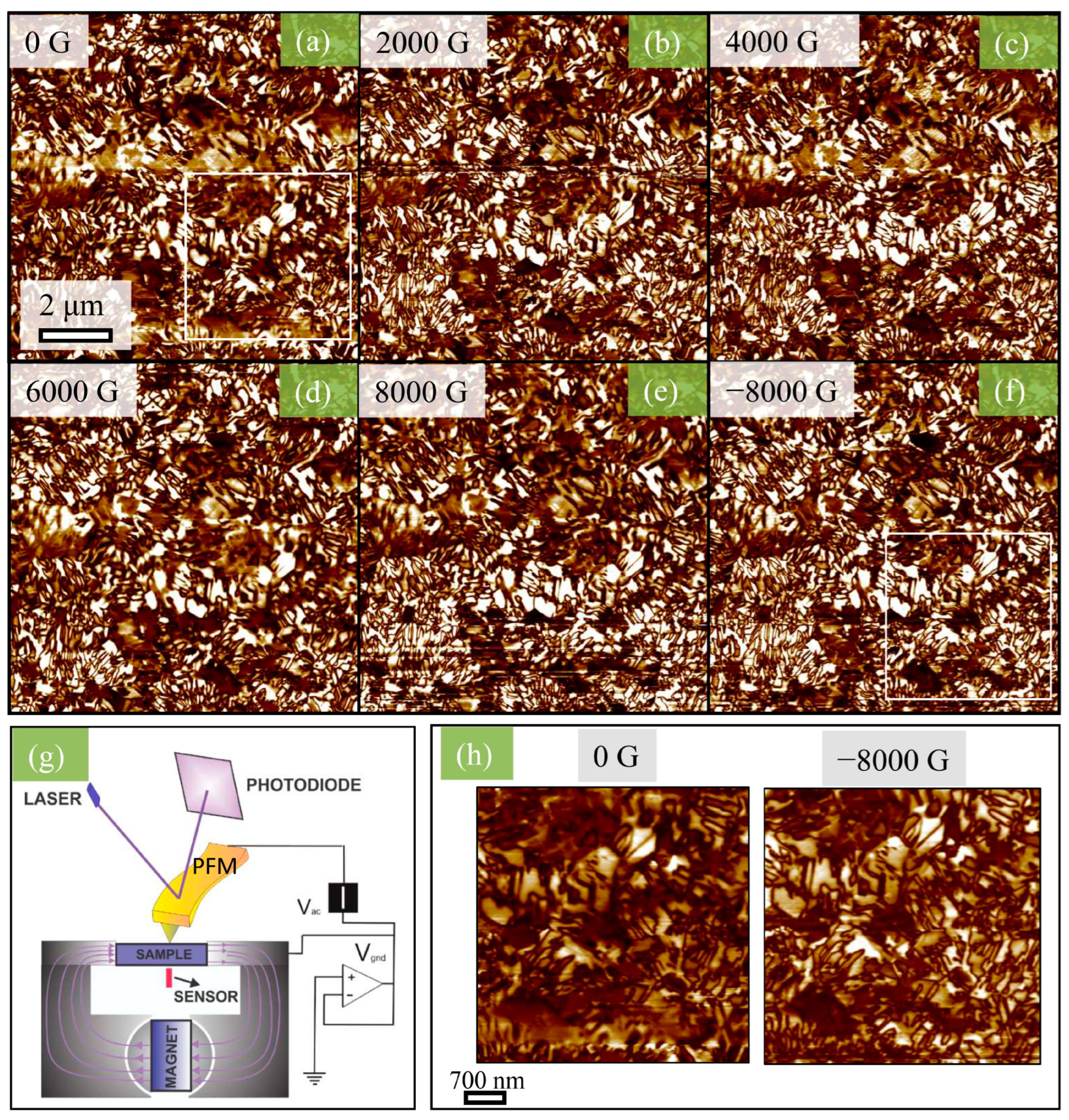 Crystals 13 00838 g012 Crystals 13 00838 g012