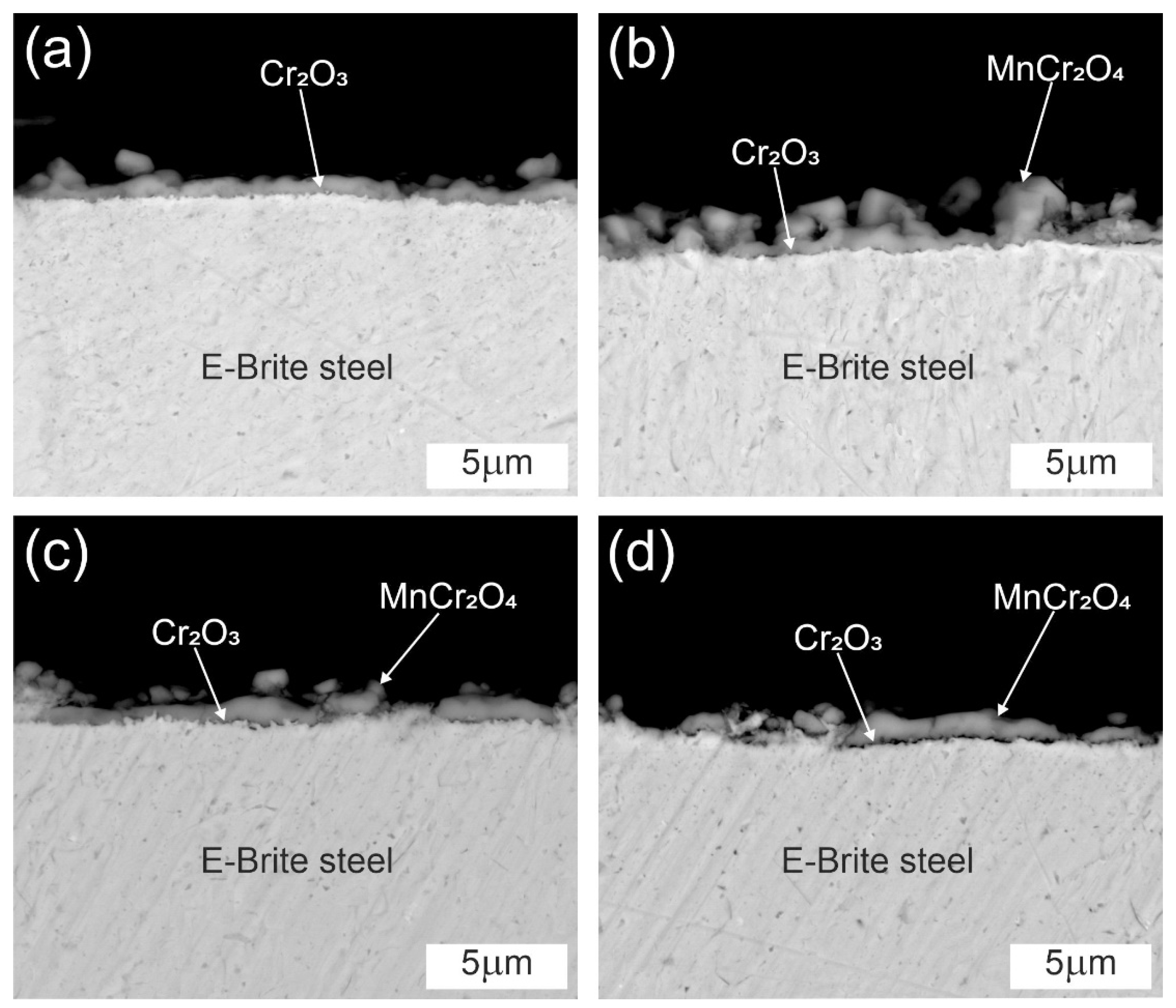 Crystals 13 00862 g010
